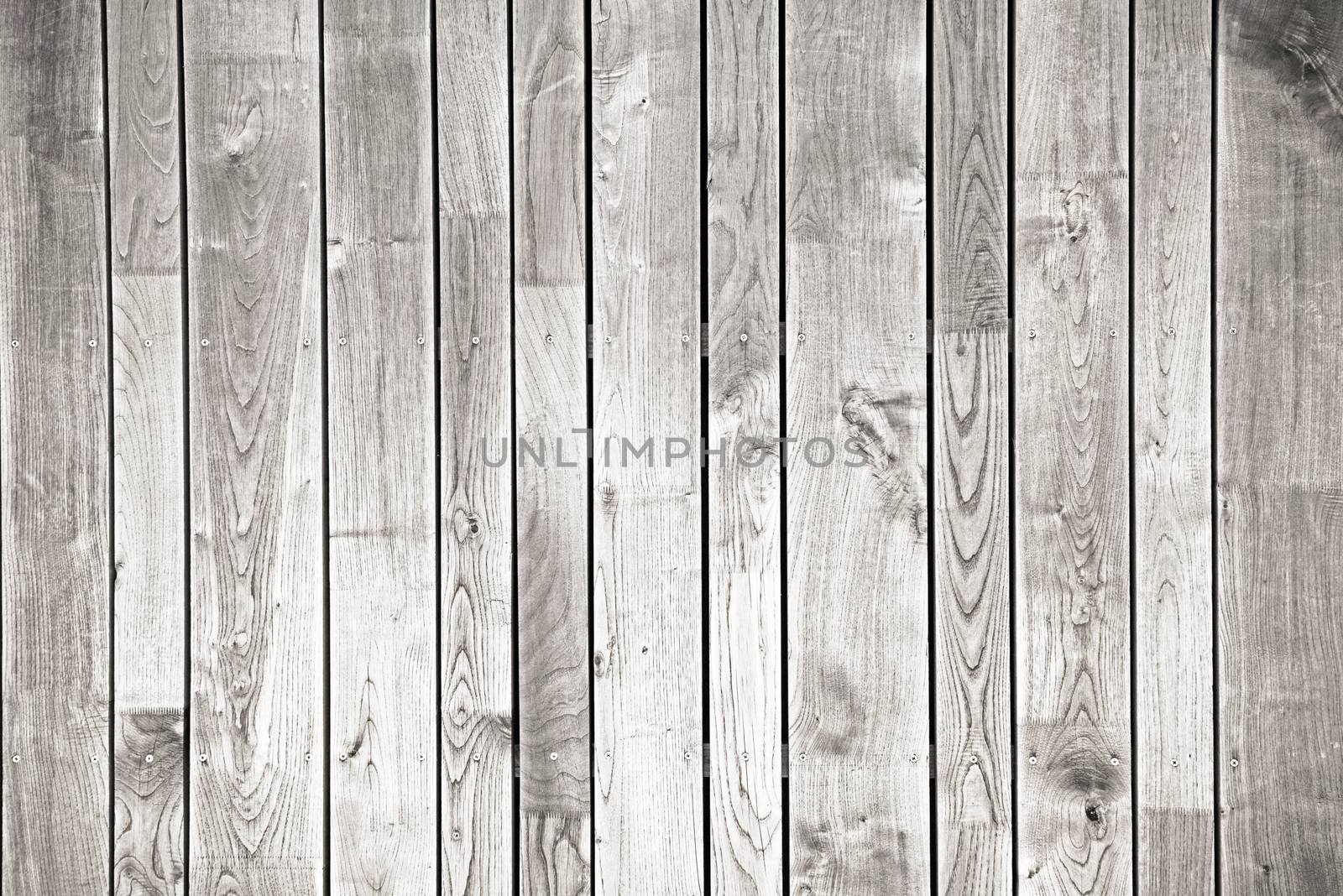 Light Wood Background. Wooden Planks Wall Backdrop Photo.