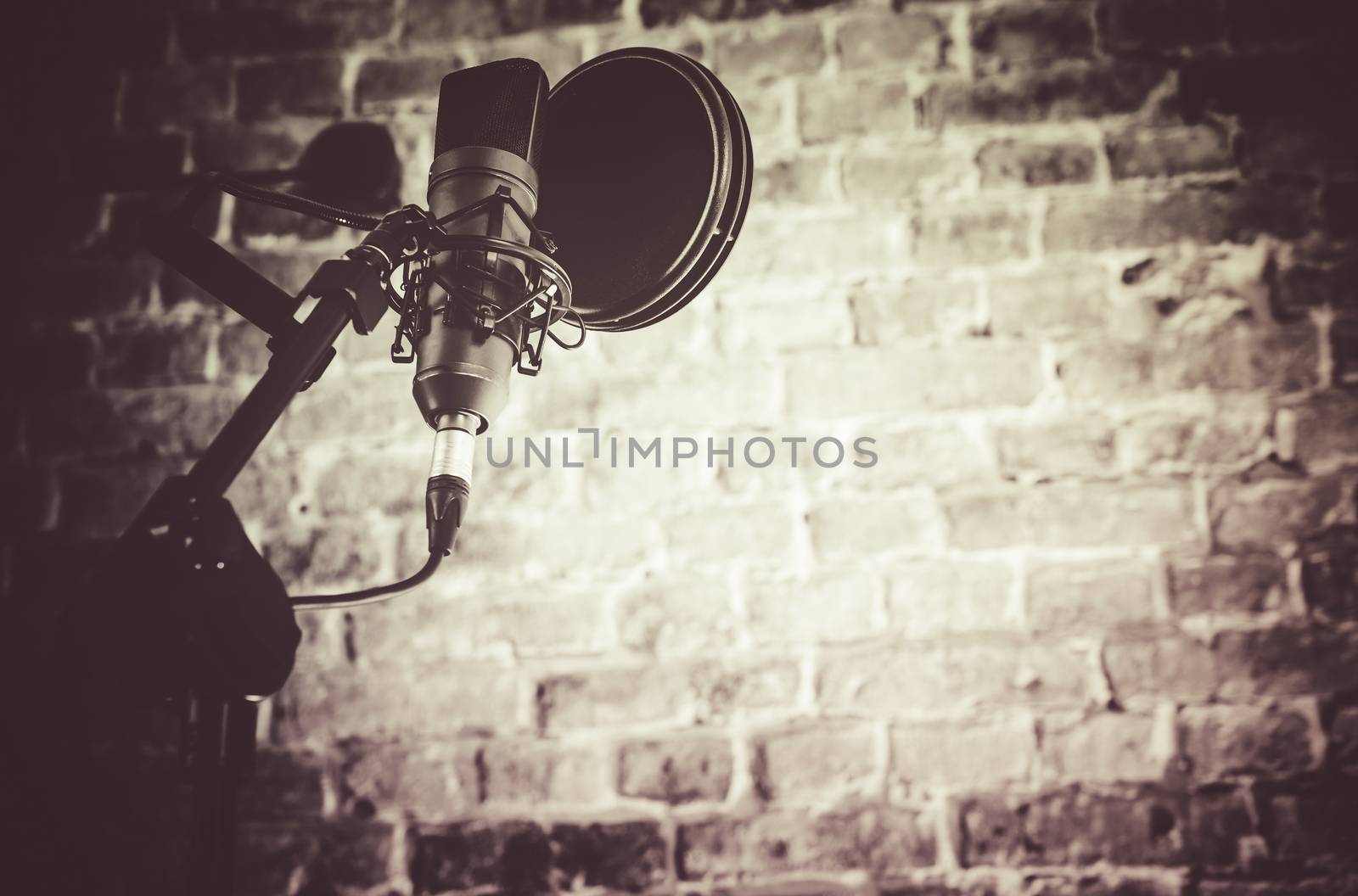 Recording Studio Equipment. Professional Audio Recording Microphone with Filter.