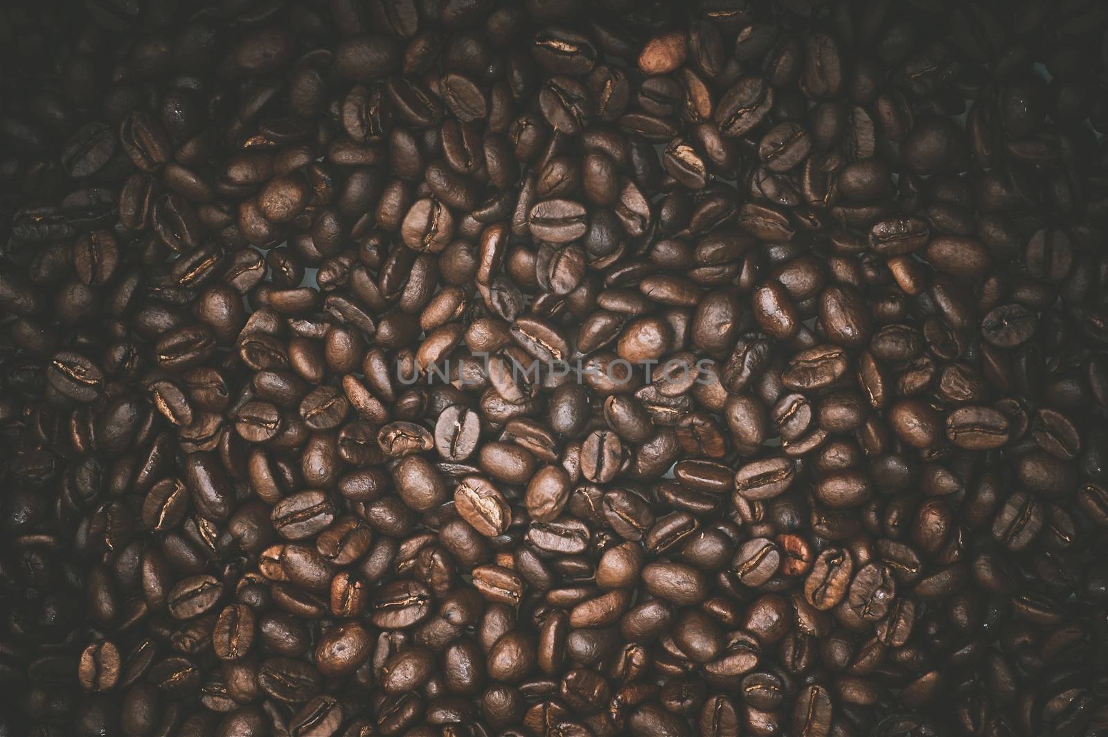 Arabica Coffee Beans Photo Background. Cafe and Coffee Backdrop.