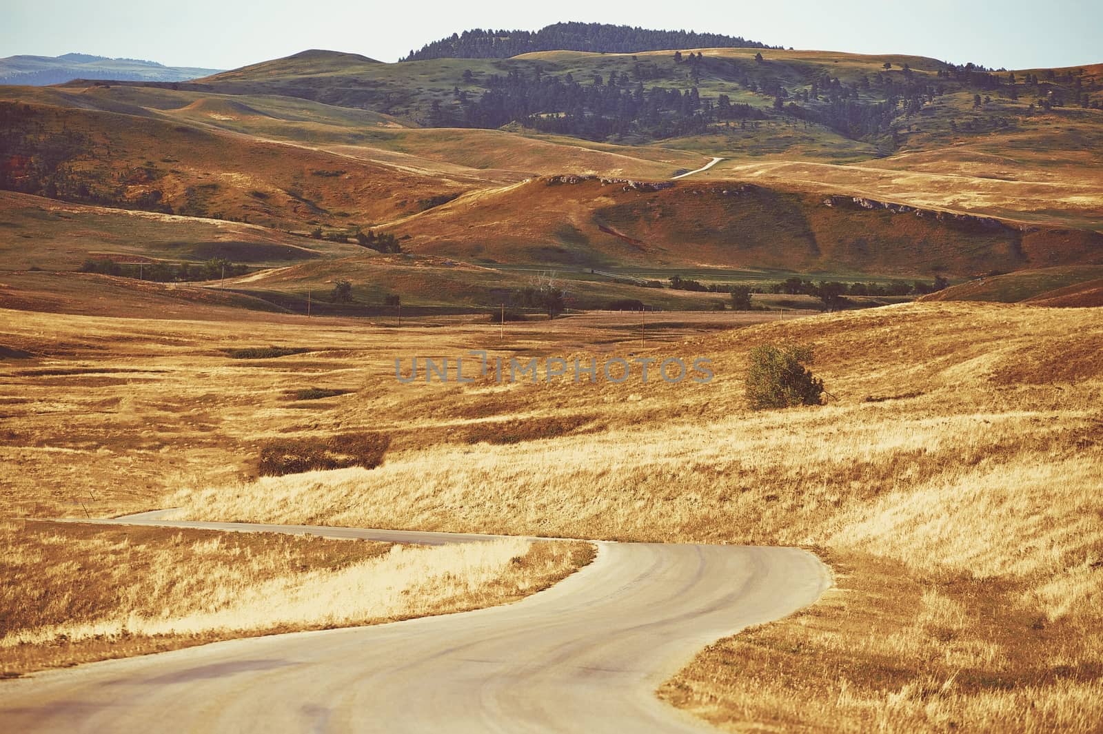 Scenic Black Hills South Dakota Summer Landscape. South Dakota, United States.