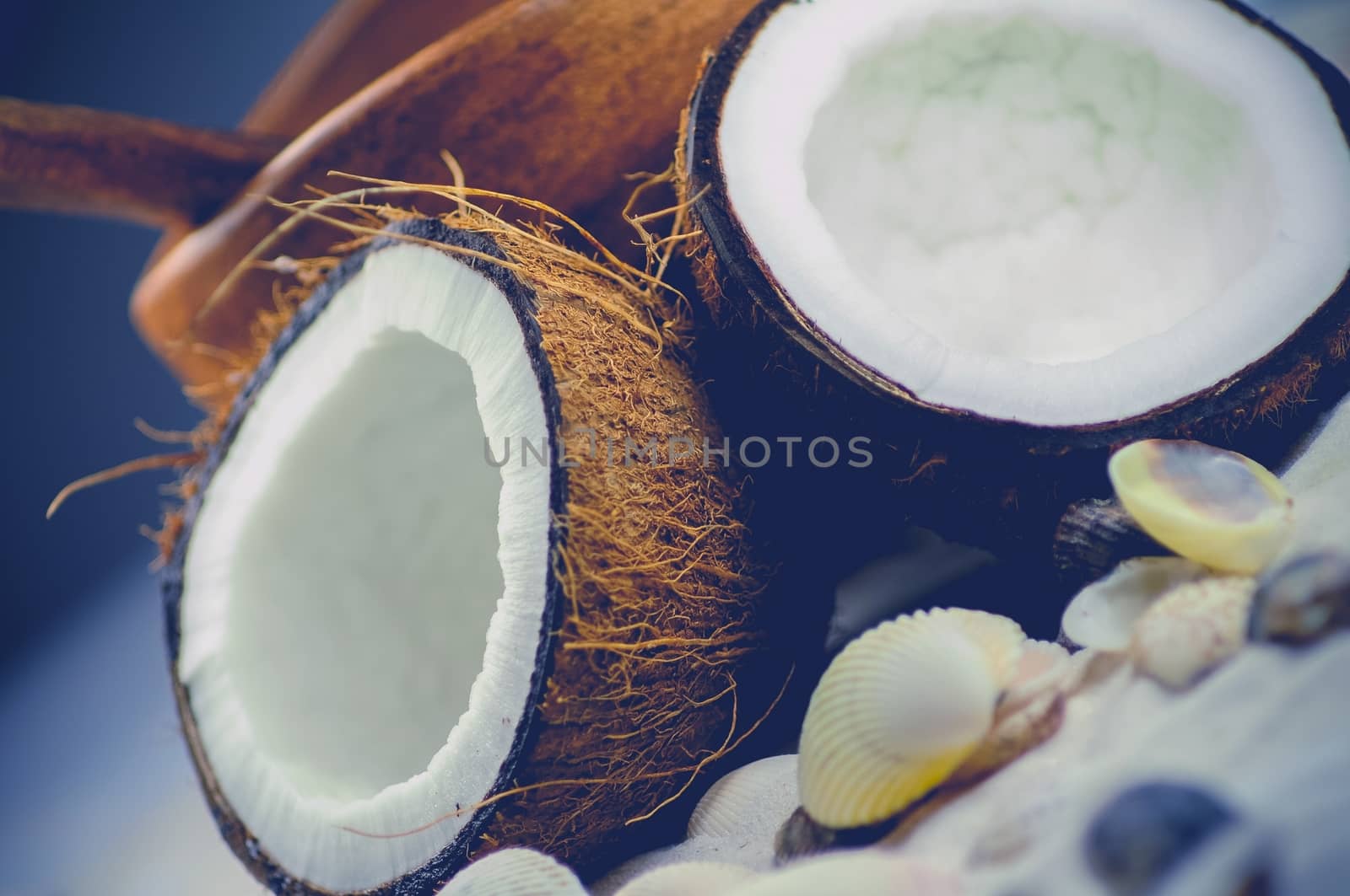Fresh Open Coconut on the Beach. Tropical Food Concept Photo.