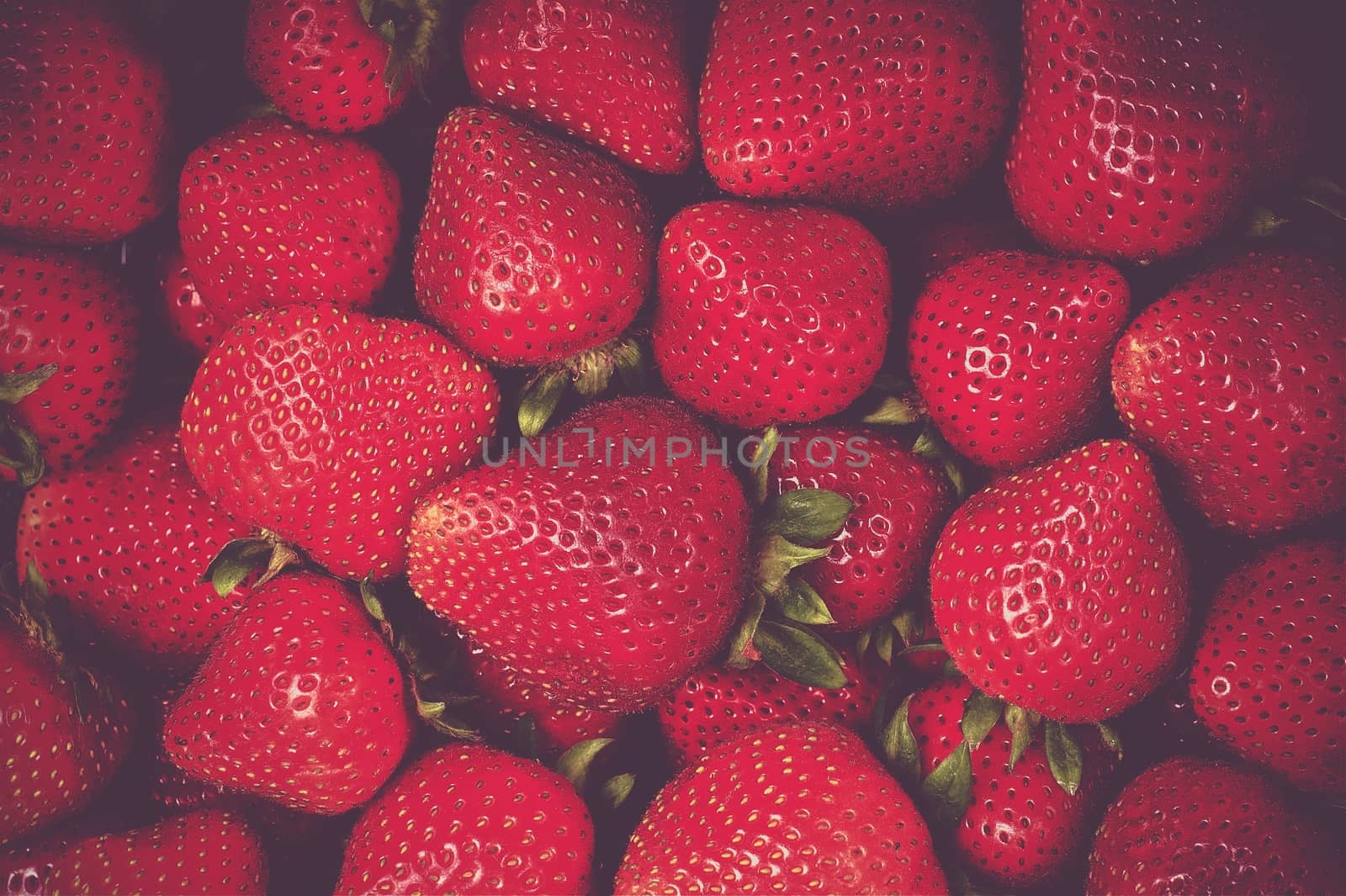 Fresh Organic Strawberries Closeup Photo. Tasteful Strawberry.