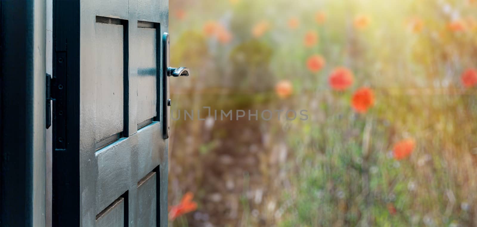 Opened door concept to beautiful and imaginary poppies field