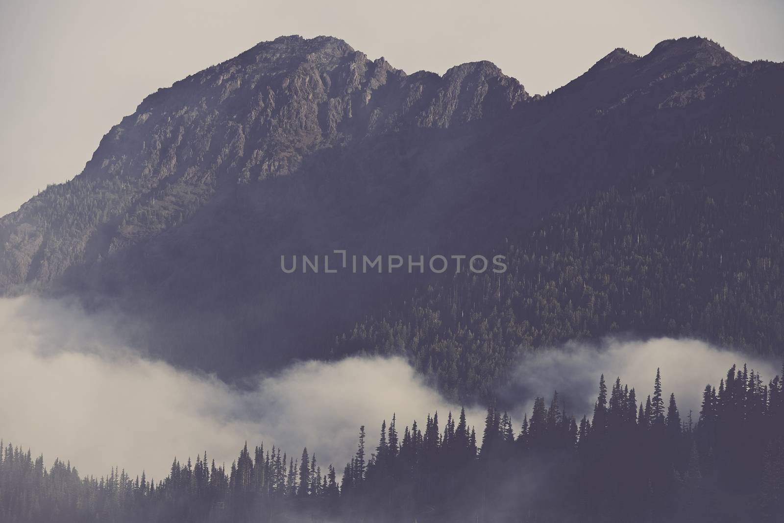 Mountains Covered By Clouds. Foggy Olympic Peninsula in the State of Washington.