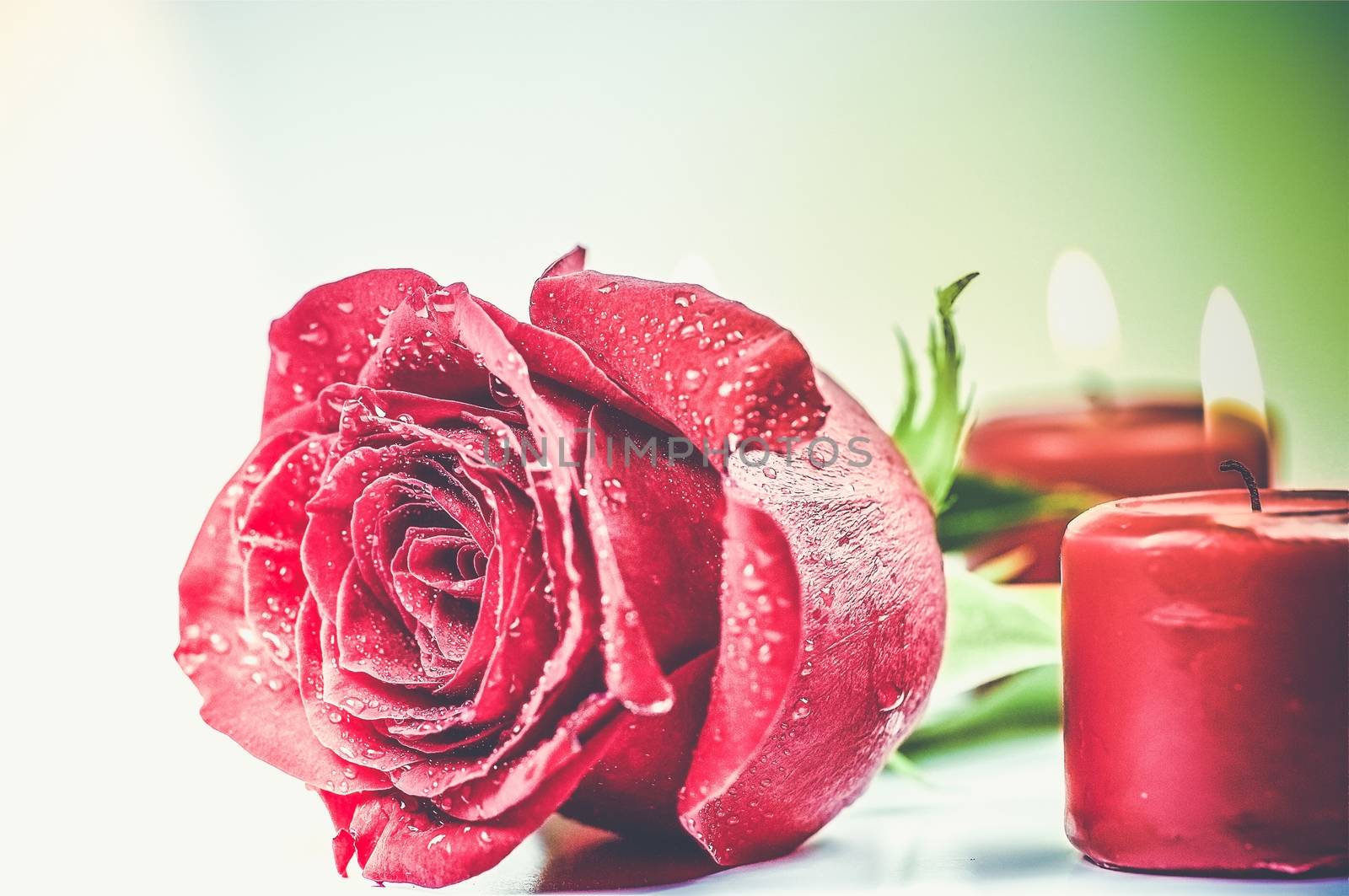 Romantic Red Rose with Burning Red Candles Valentines Day and Love Concept Photo.