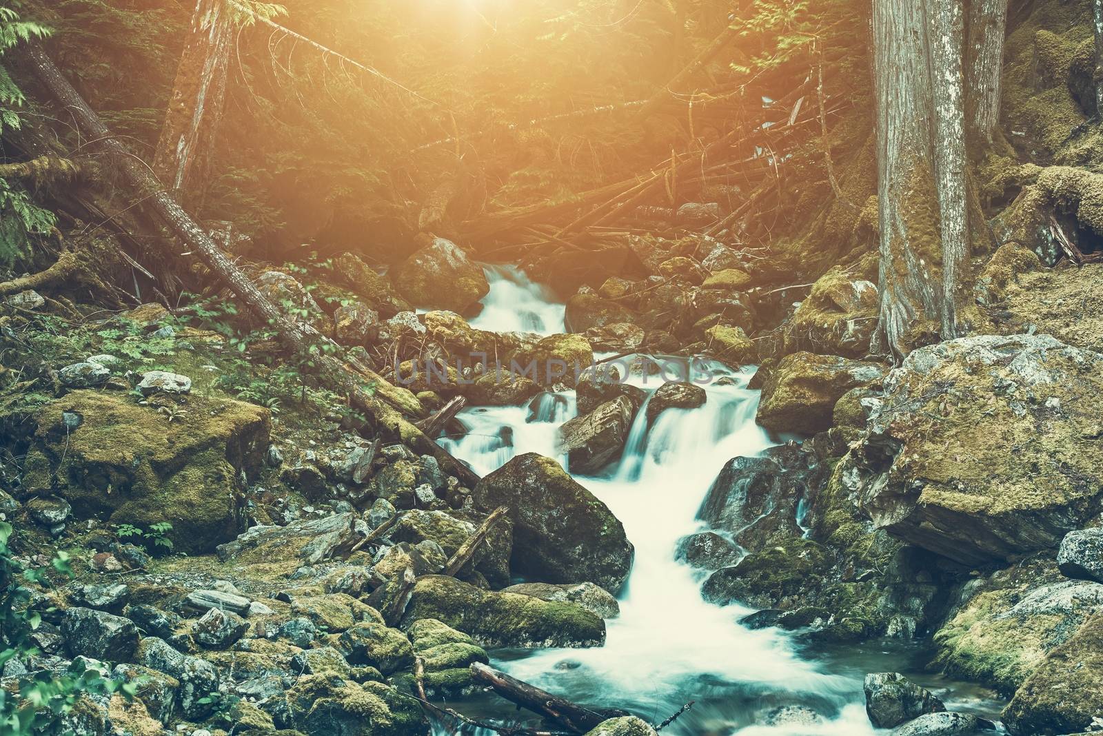 Spring Water Mountain River and the Rocky Creek. Scenic Mountain Landscape