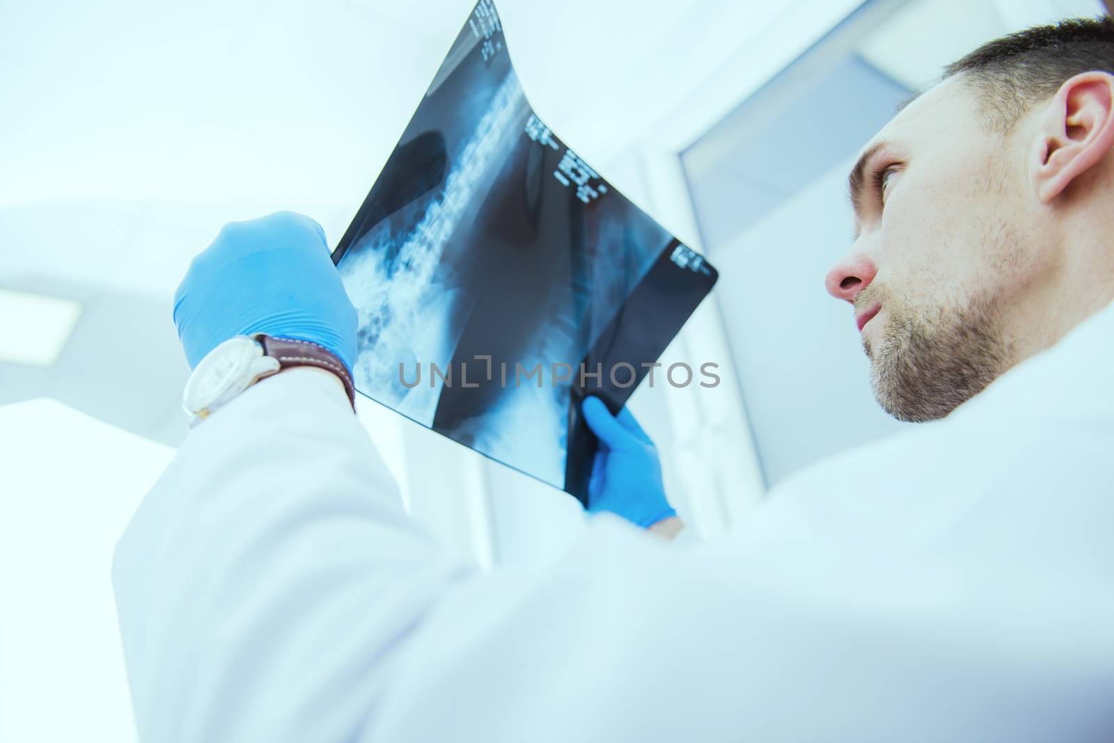 Doctor Checking Xray Results. Checking Radiology Imagery to Find Out Sickness Reason