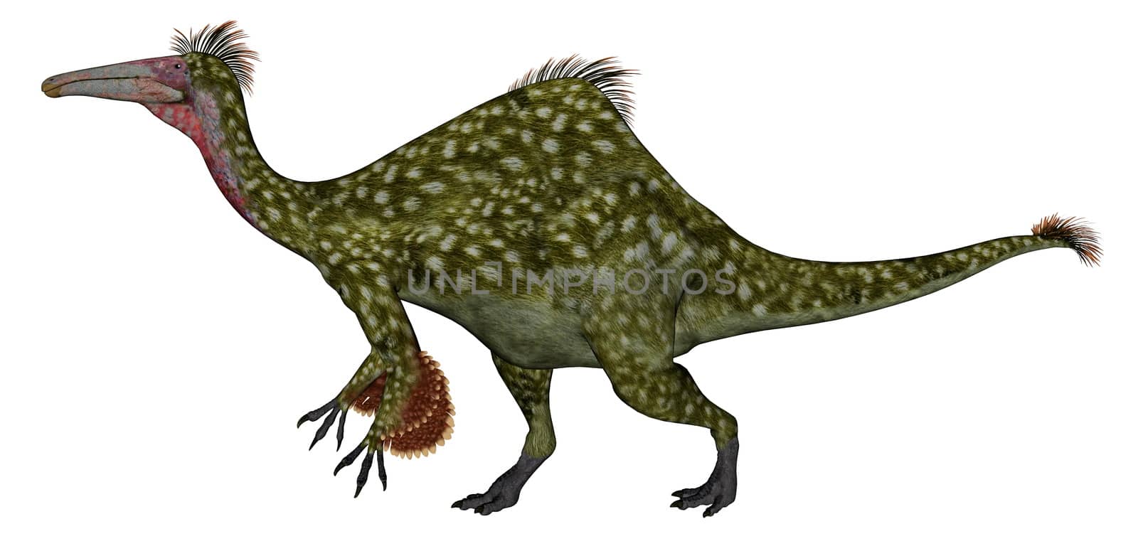 Deinocheirus dinosaur - 3D render by Elenaphotos21
