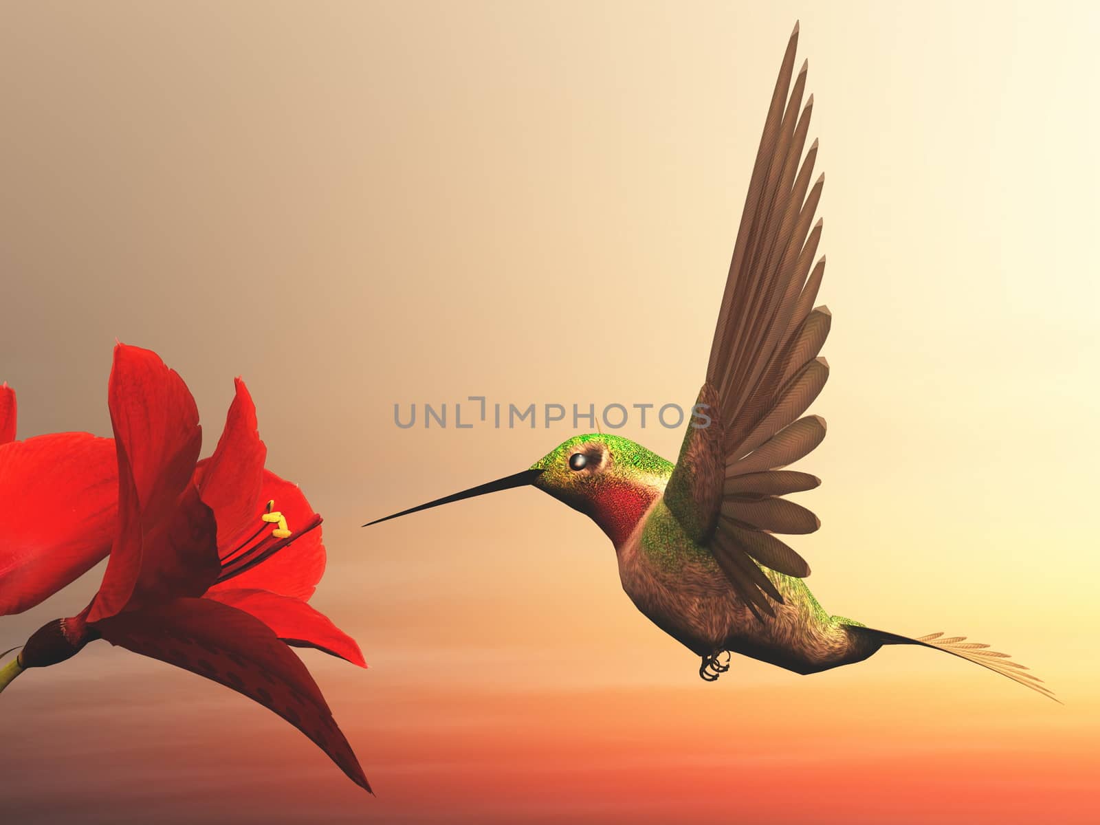 Ruby-throated hummingbird flying upon red daisies by cloudy day - 3D render