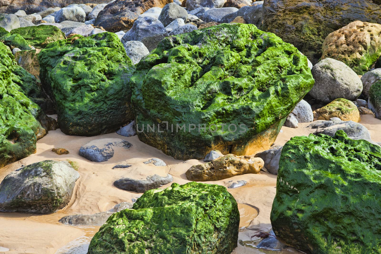 Green stones on the seashore