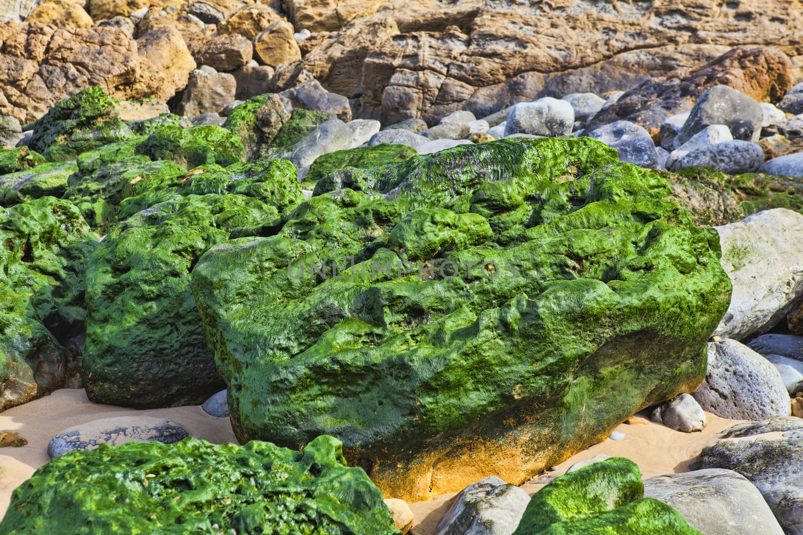 Green stones on the seashore