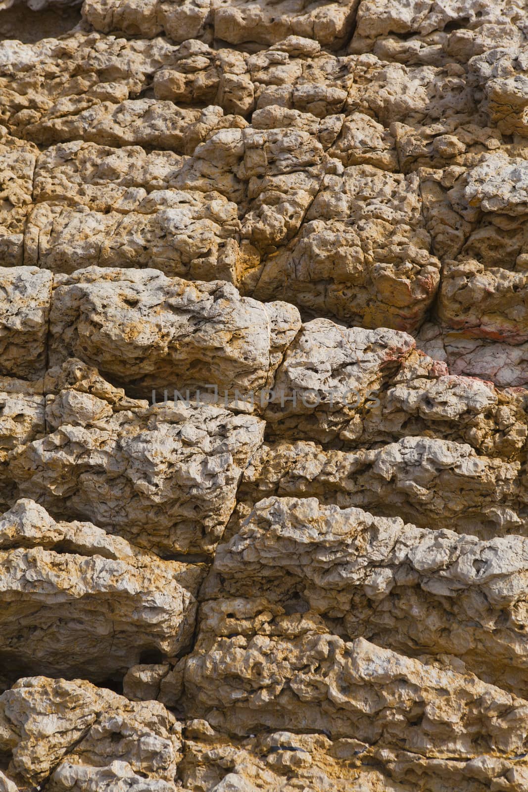 colorful texture of sea stone
