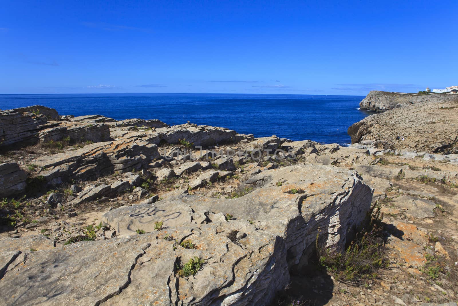 Rocky Coast Extending into the Sea