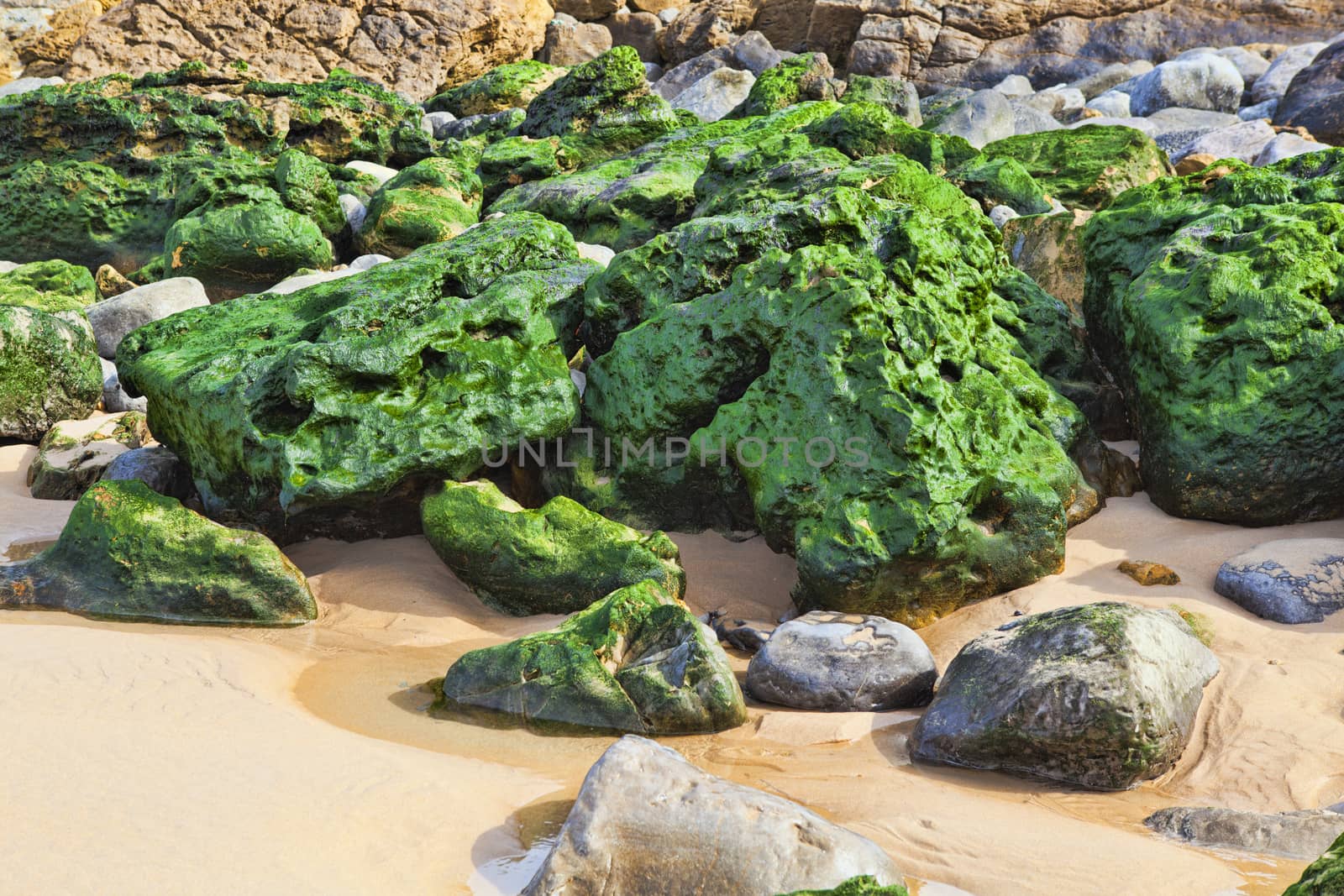 Green stones on the seashore