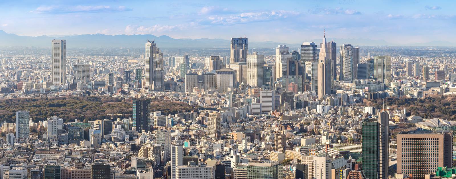 Tokyo city skyline in Shinjuku area panorama