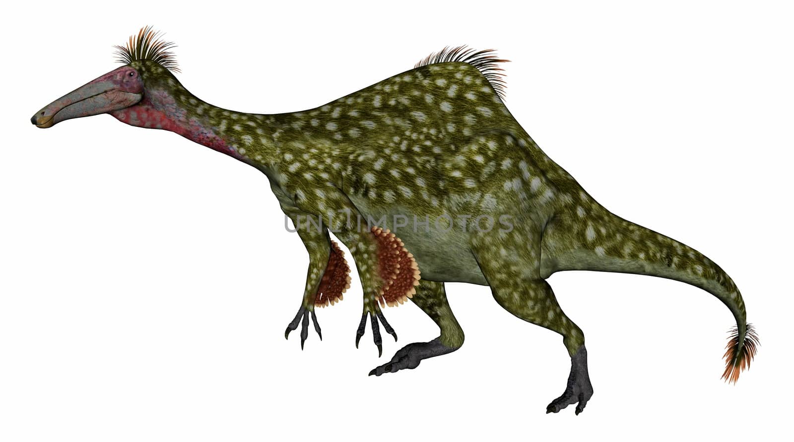 Deinocheirus dinosaur - 3D render by Elenaphotos21