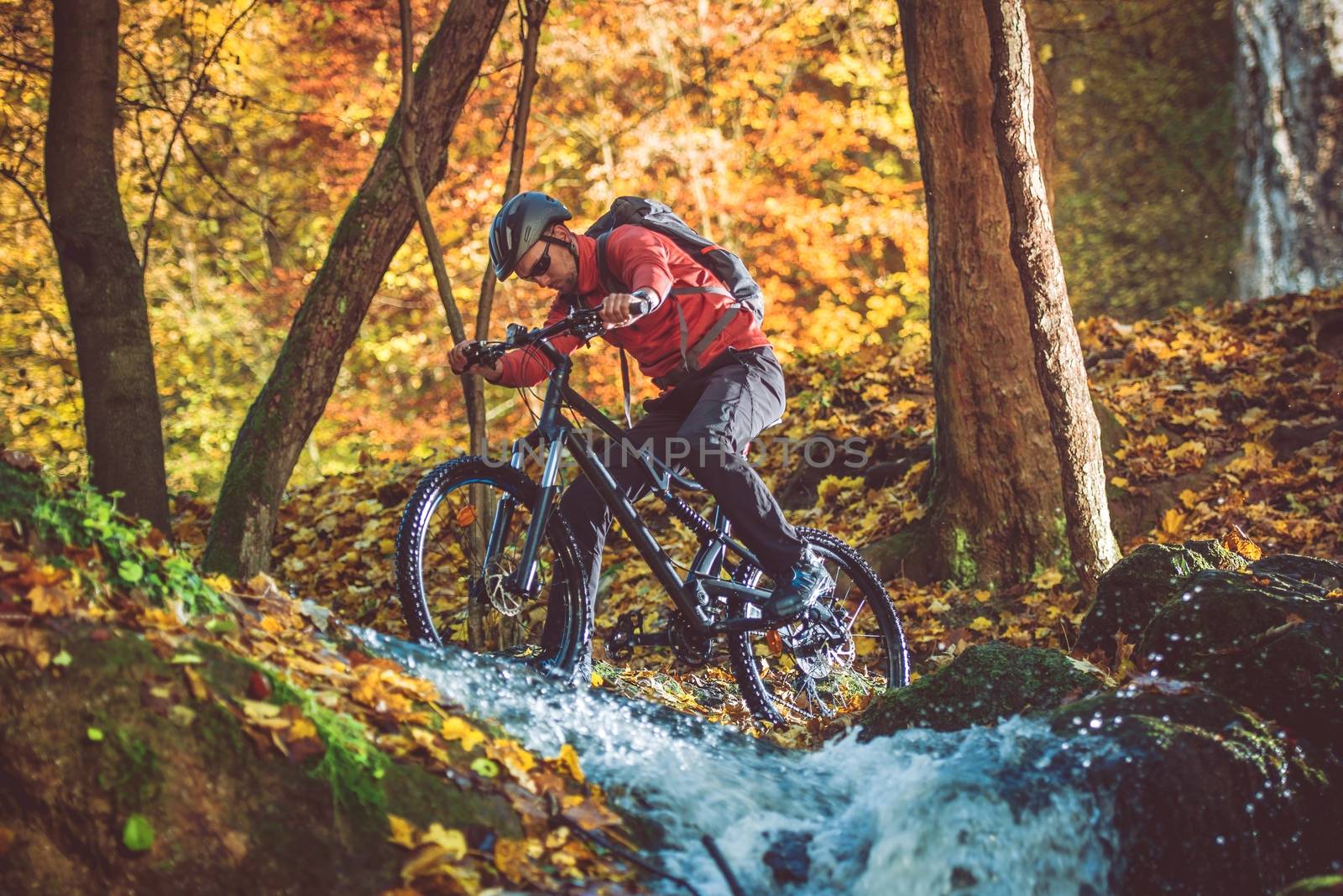 All Year Long Active Mountain Biker. Fall Foliage Landscape. Bike Ride.