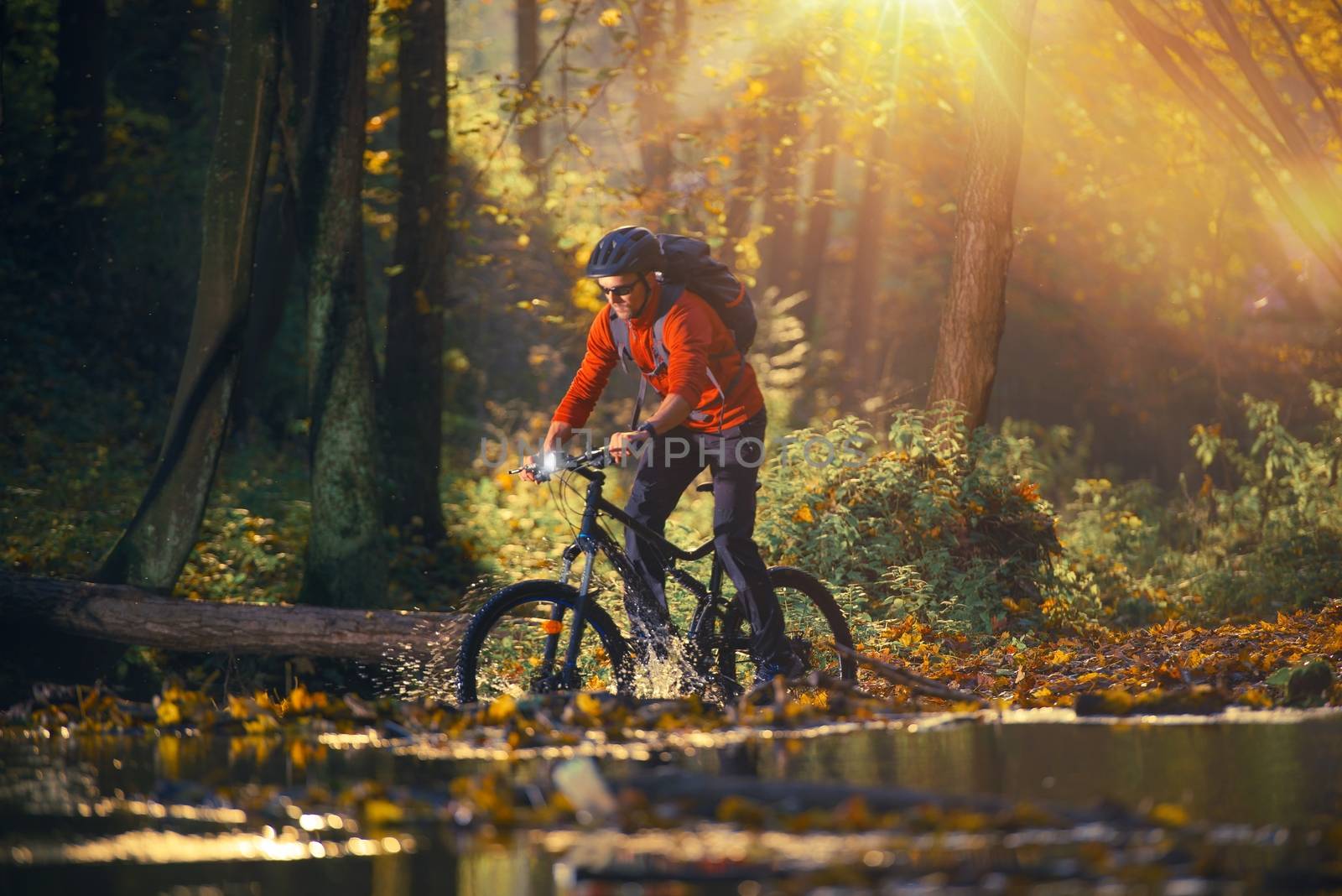 Bike Ride in the Autumn Season Forest. Caucasian Men on the Mountain Bike
