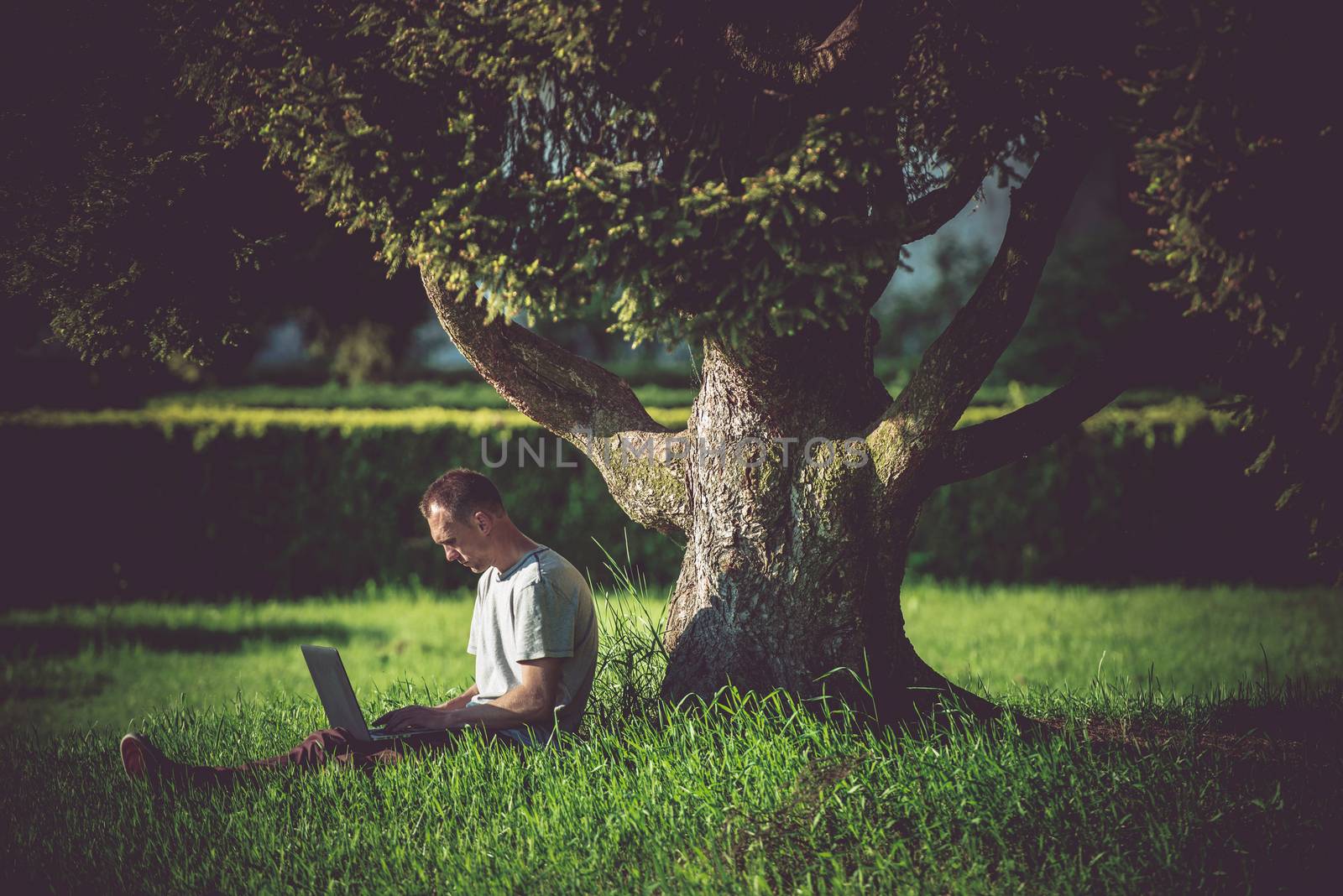 Internet Break Under the Tree. Men Enjoying Wireless Internet Connectivity. WiFi Connection in the Garden. Caucasian Men Working Remotely on His Laptop Computer.