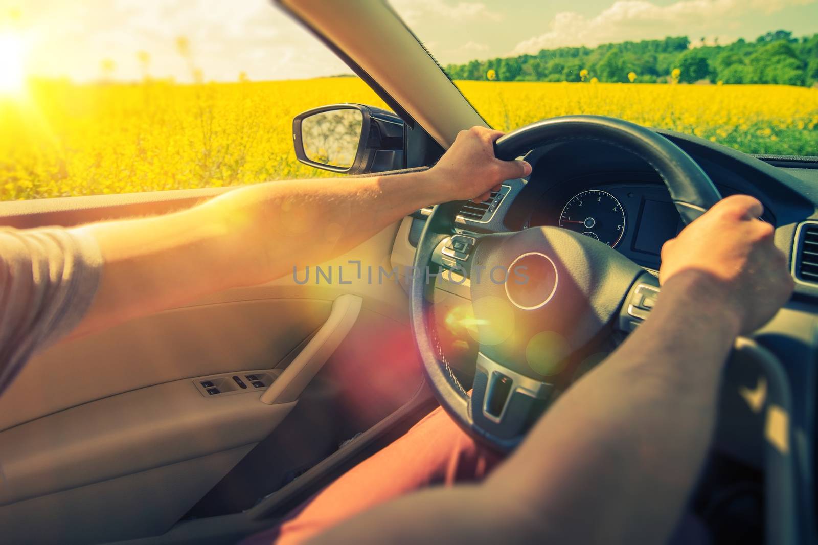 Summer Car Trip. Enjoying Car Ride Through Flowering Summer Fields.