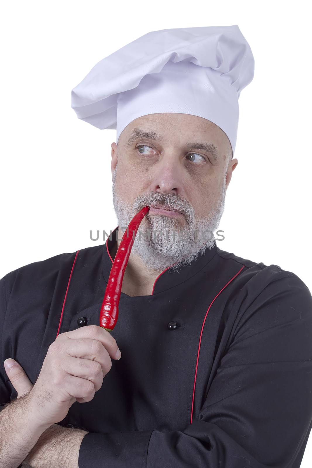 Bearded chef biting hot chili pepper on a white background