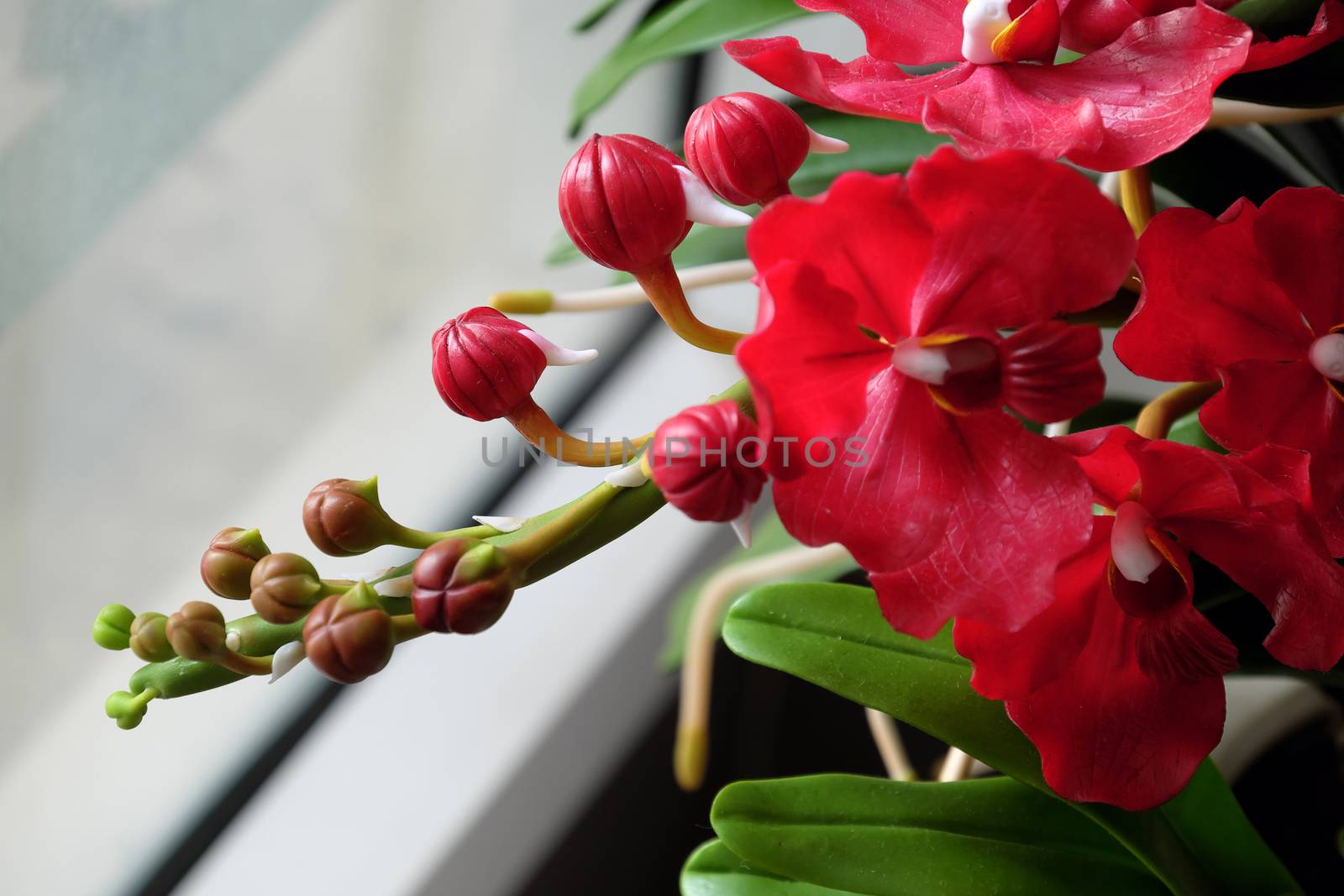 Elegance handmade product from clay art, Vanda orchid pot on white background, beautiful flower for home decor with red petal, green leaf from clay