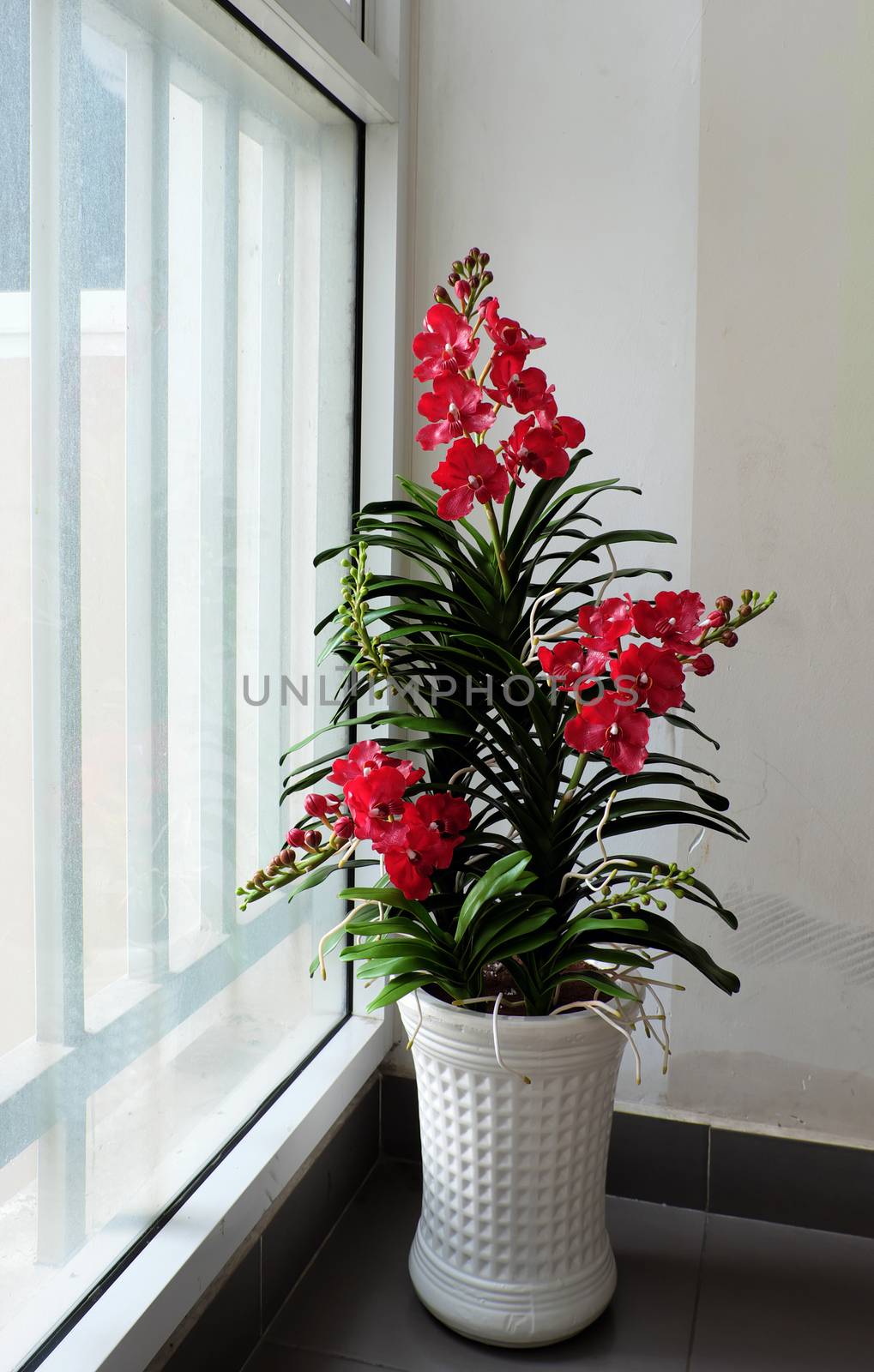 Elegance handmade product from clay art, Vanda orchid pot on white background, beautiful flower for home decor with red petal, green leaf from clay
