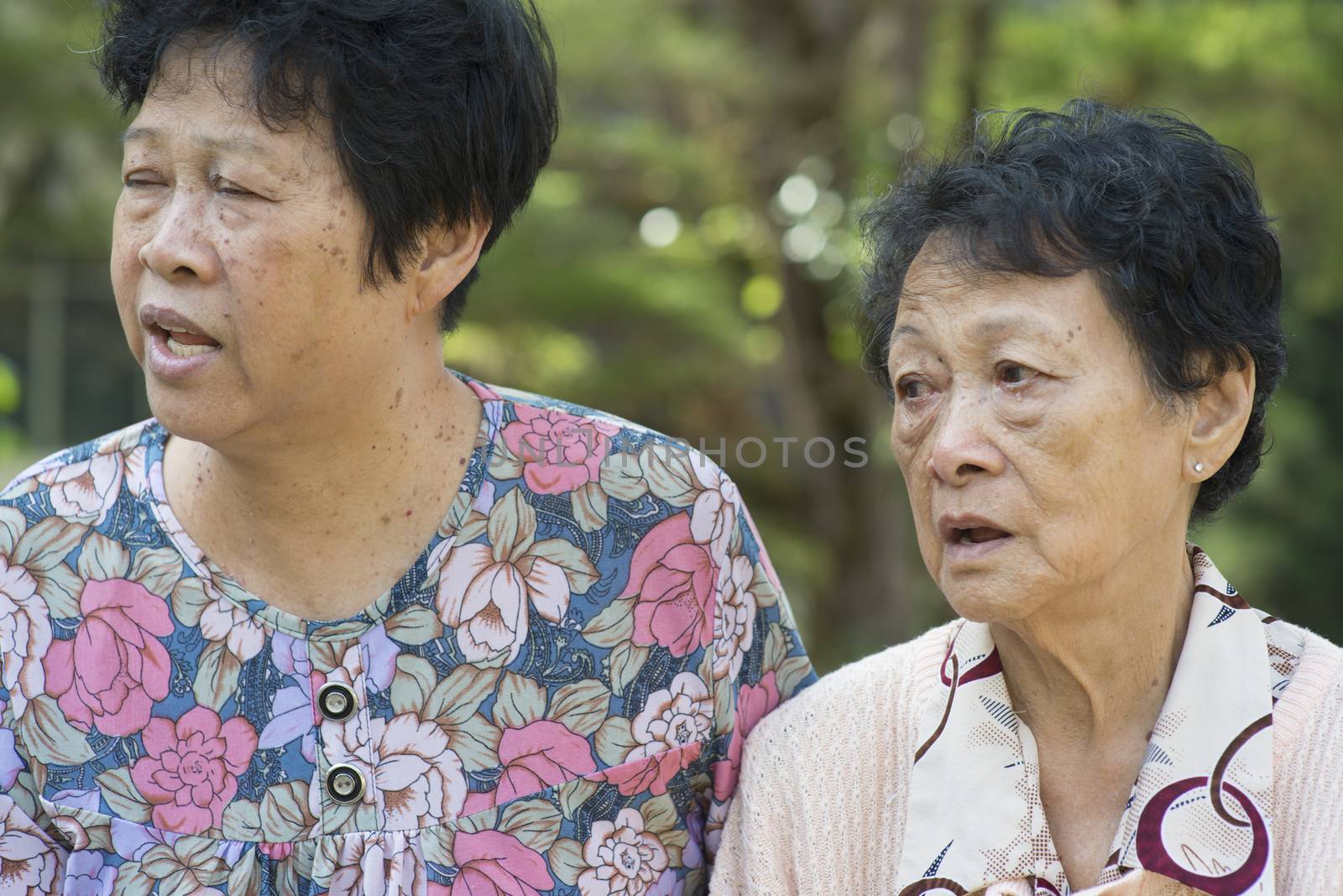 Candid shot of Asian elderly women chatting at outdoor park in the morning.