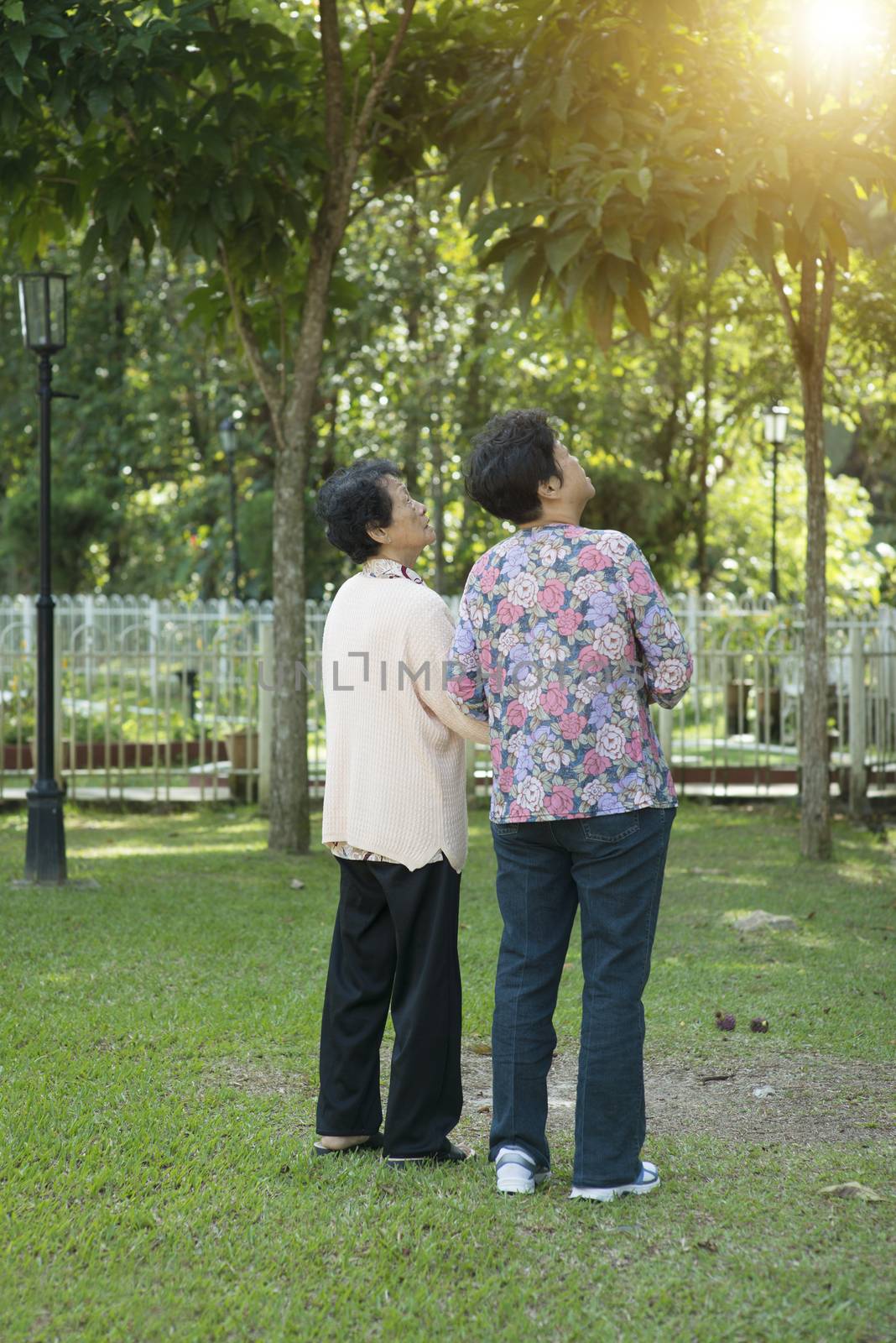 Candid shot of rear view Asian elderly women holding hands and walking at outdoor park in the morning.