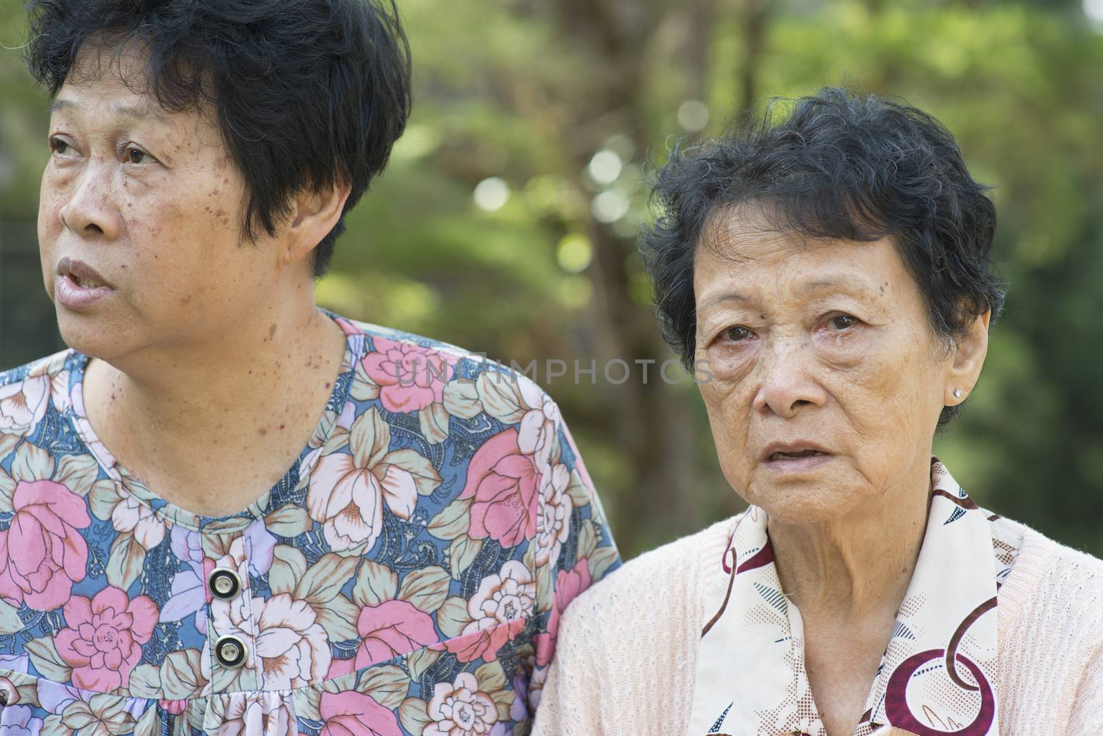 Asian elderly women talking at outdoor by szefei
