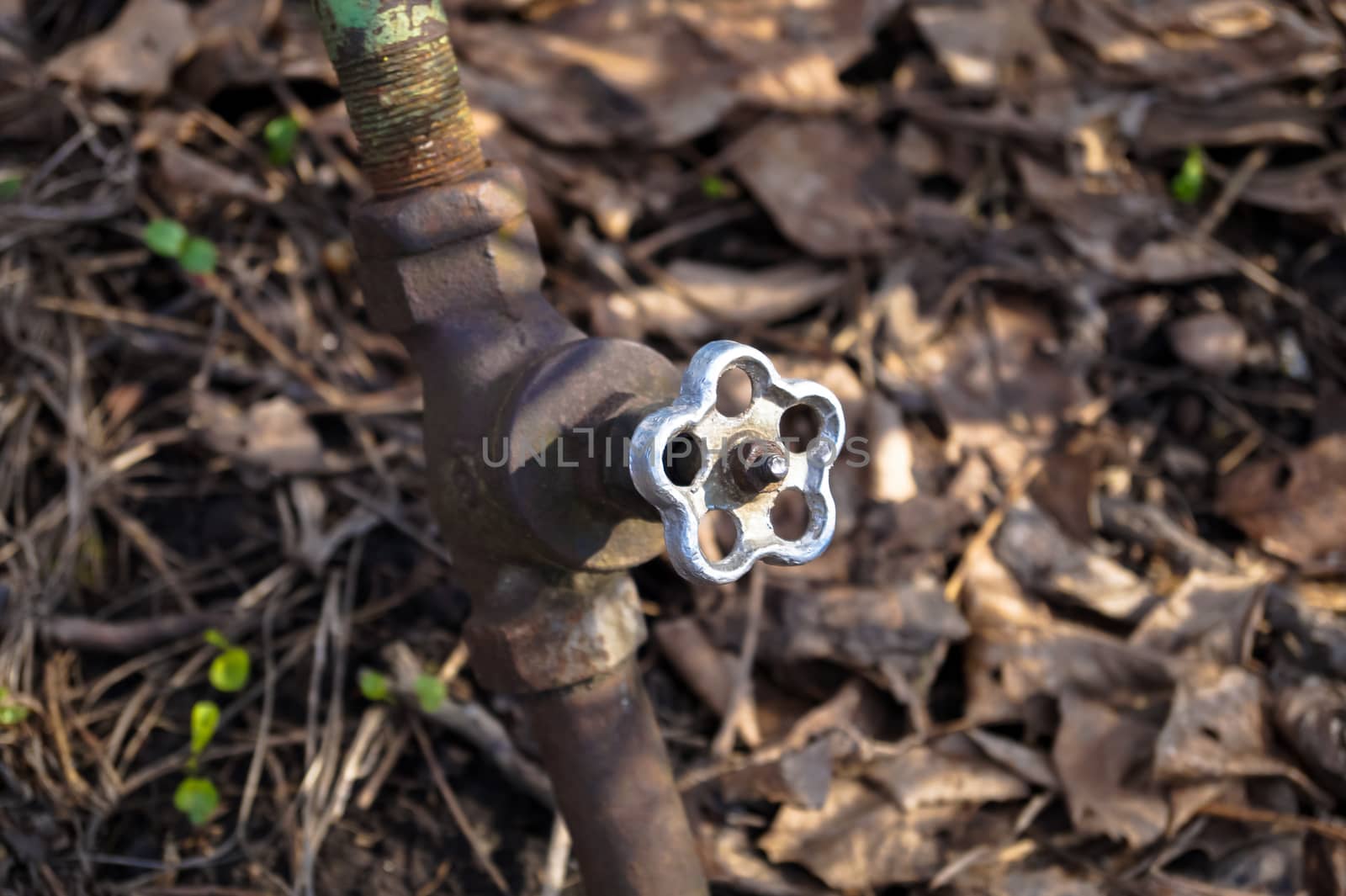 old portali tap in the garden