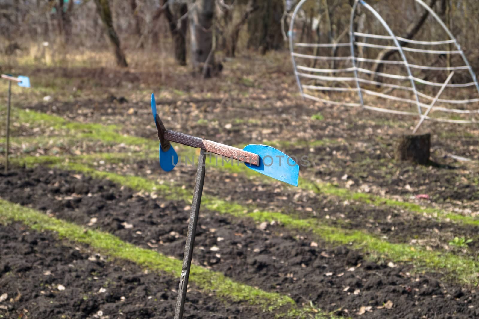 a weather vane on a vegetable garden shows direction to wind by Oleczka11