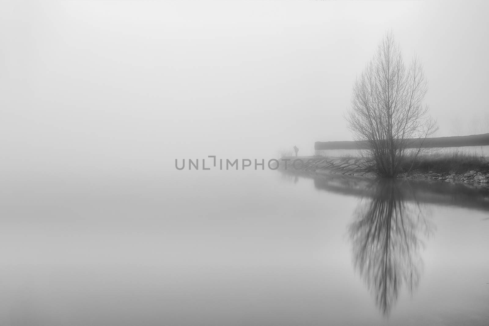 Lonely photograph in a foggy day