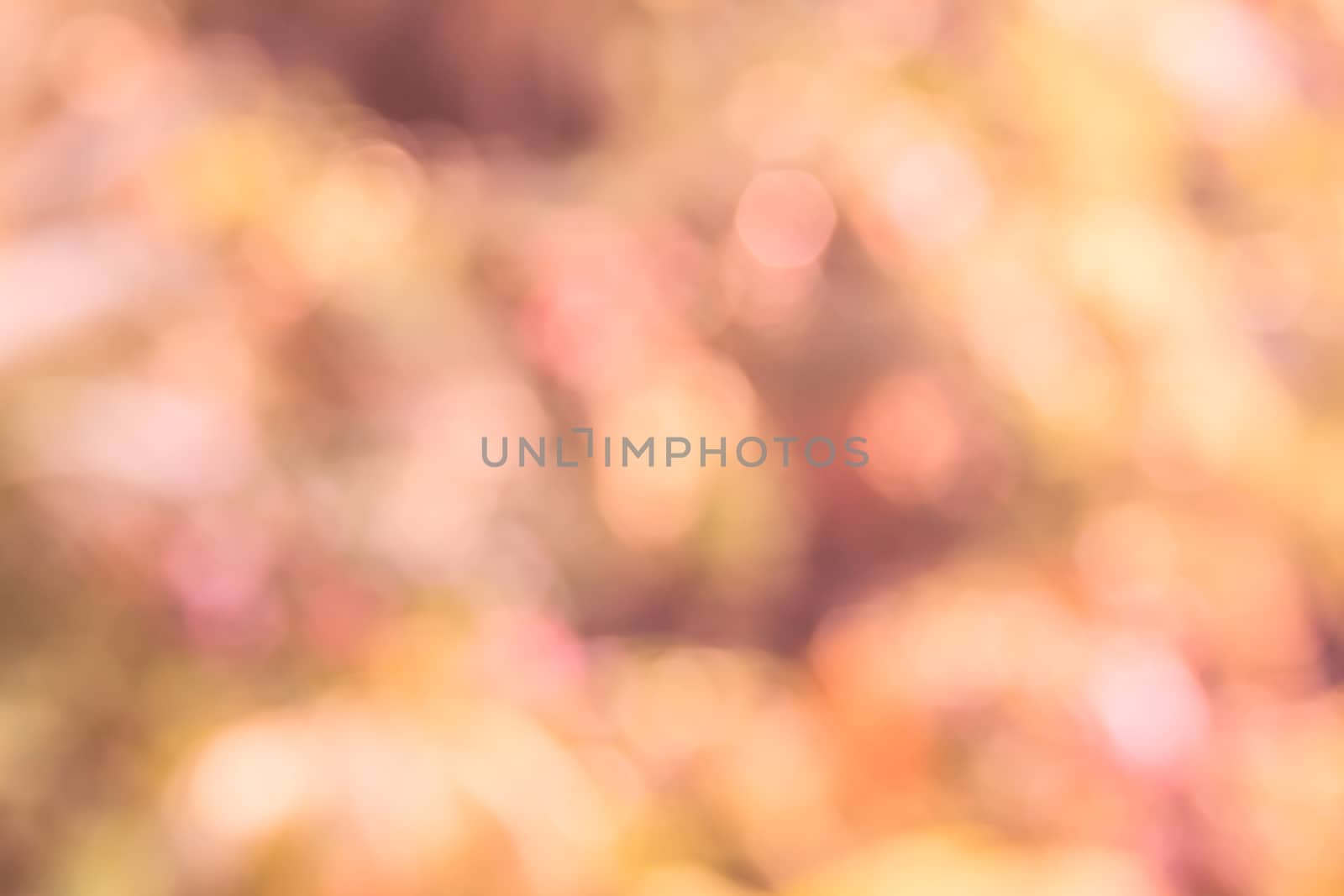 Orange and pink bokeh background, abstract colorful defocused circular