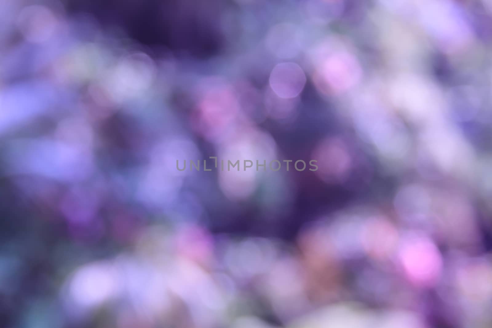 Purple and pink bokeh background, abstract colorful defocused circular by worrayuth