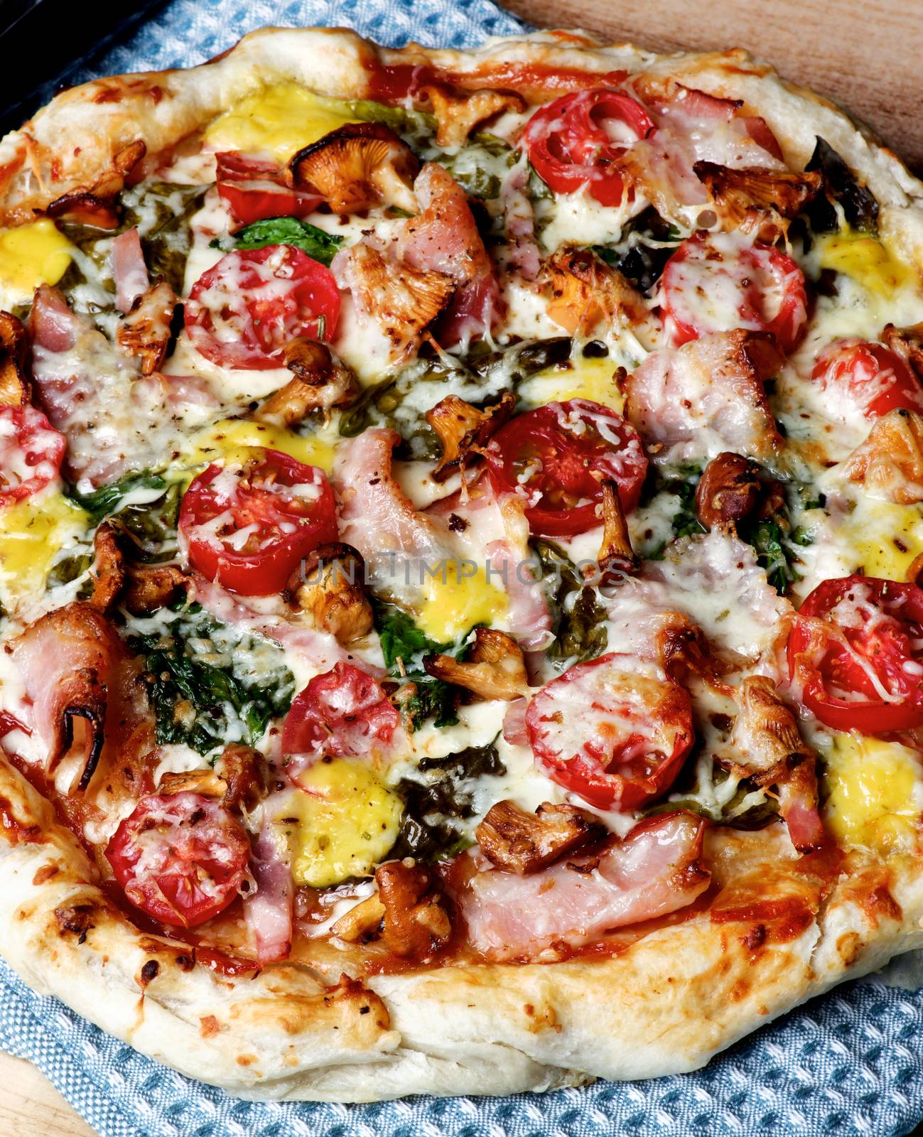 Delicious Mushrooms Pizza with Forest Chanterelles, Bacon, Tomatoes, Basil and Cheese on Blue Napkin Cross Section on Wooden background