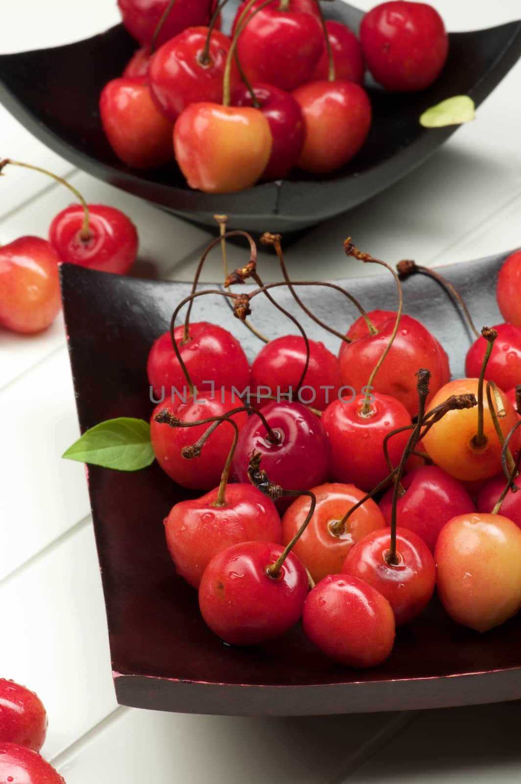 Arrangement Fresh Ripe Sweet Maraschino Cherries on Black Wooden Plates Cross Section on Plank White background. Focus on Foreground