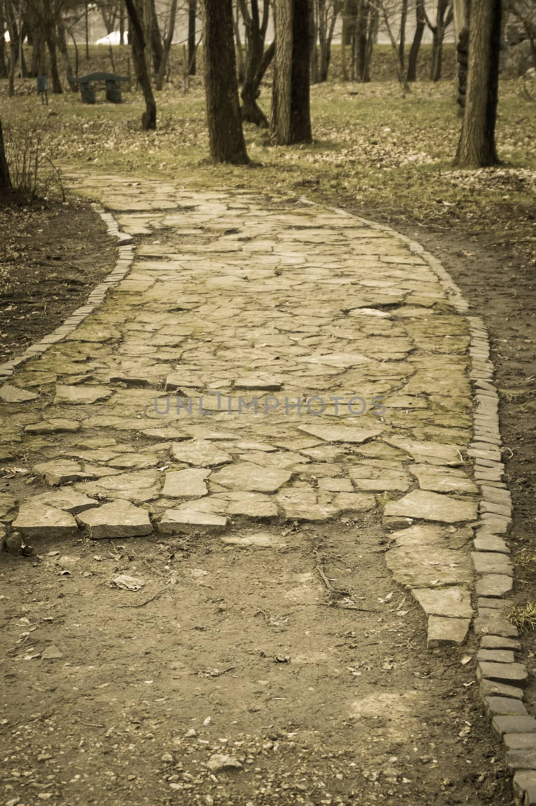 pathways in the Park are paved with stone by Oleczka11