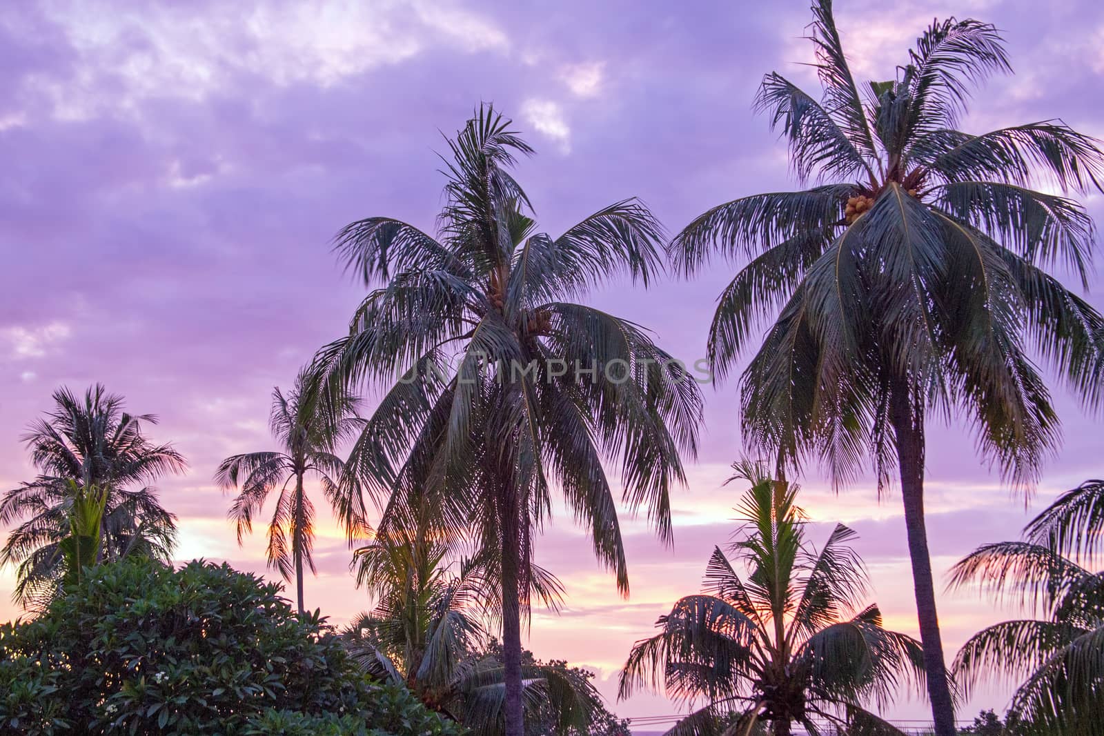 Purple sunset on Lombok Indonesia Asia