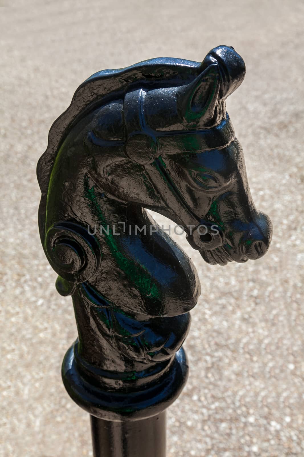 A black statue of the head of a horse