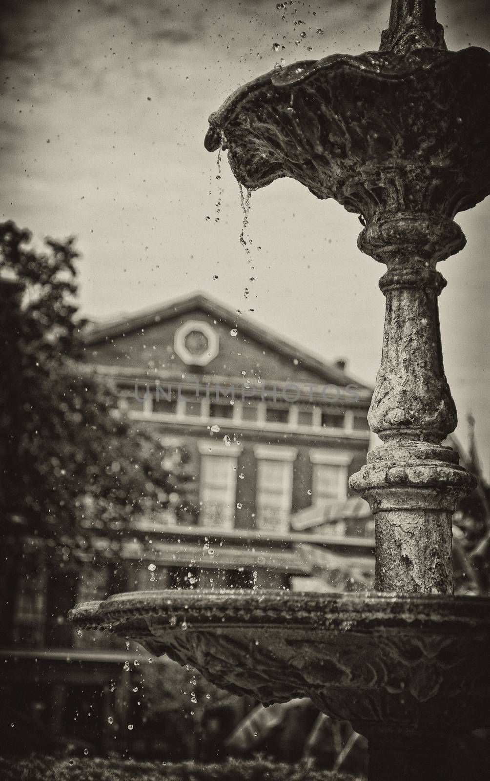 Fountain in Jackson Square Park, New Orleans by Charidy