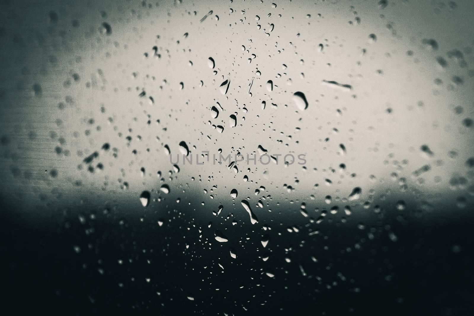 monochrome of rain on window