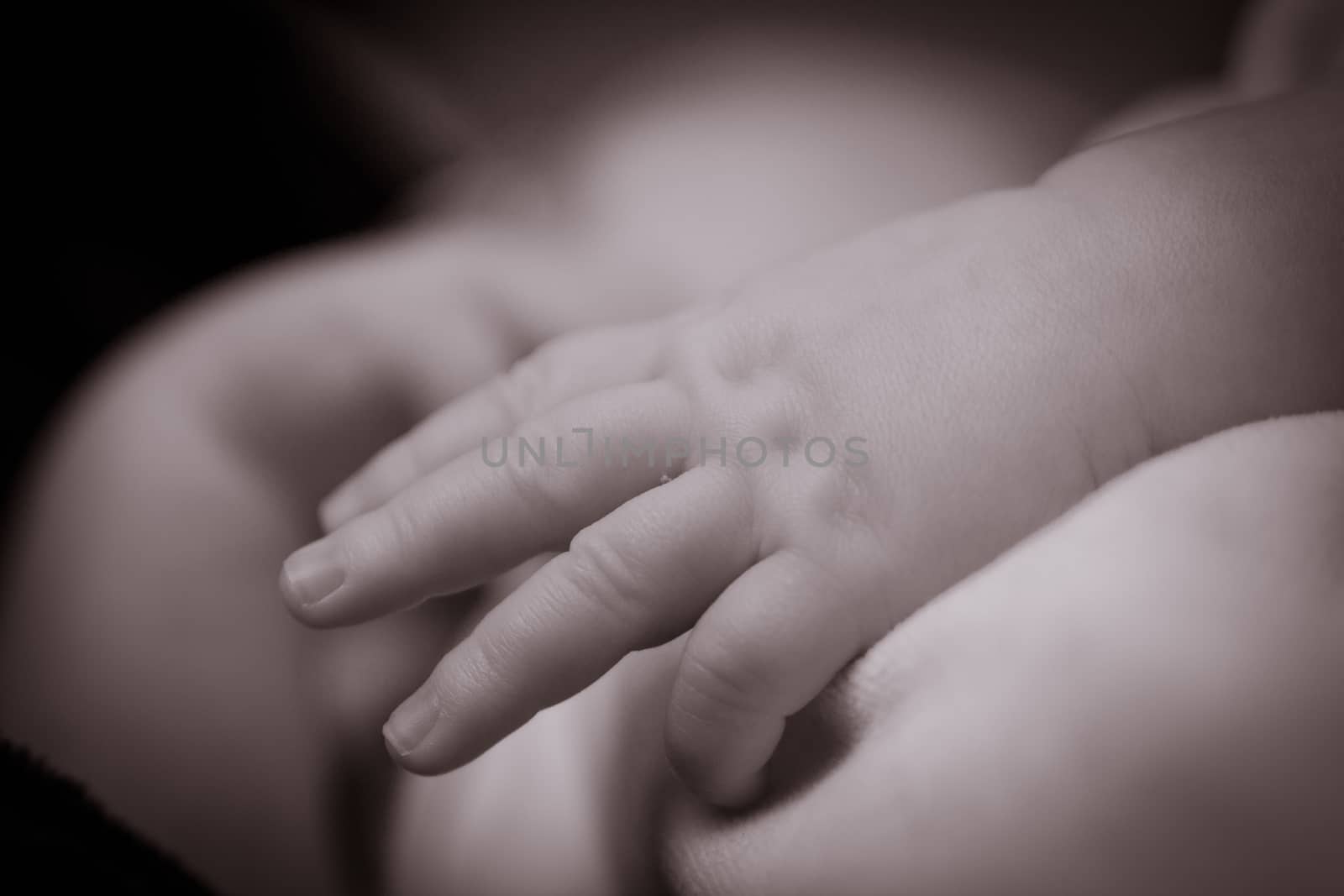 monochrome close up of a baby hands