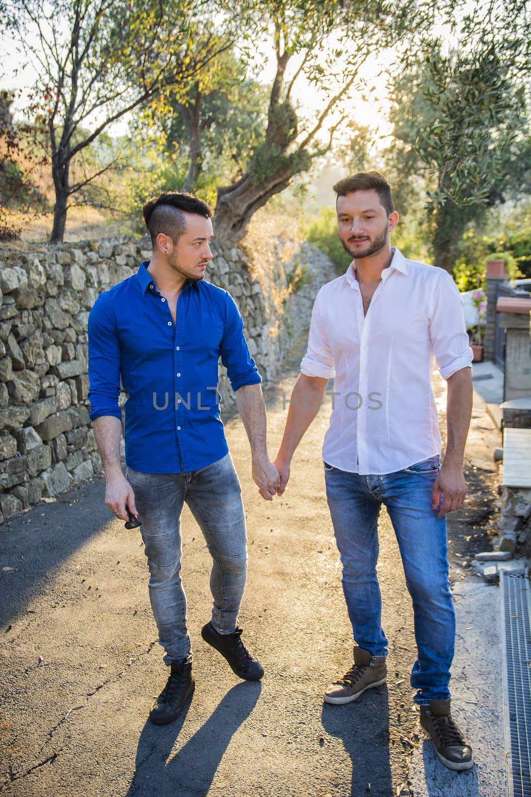 Portrait of handsome young gay couple holding hands while standing on sidewalk in sunny park