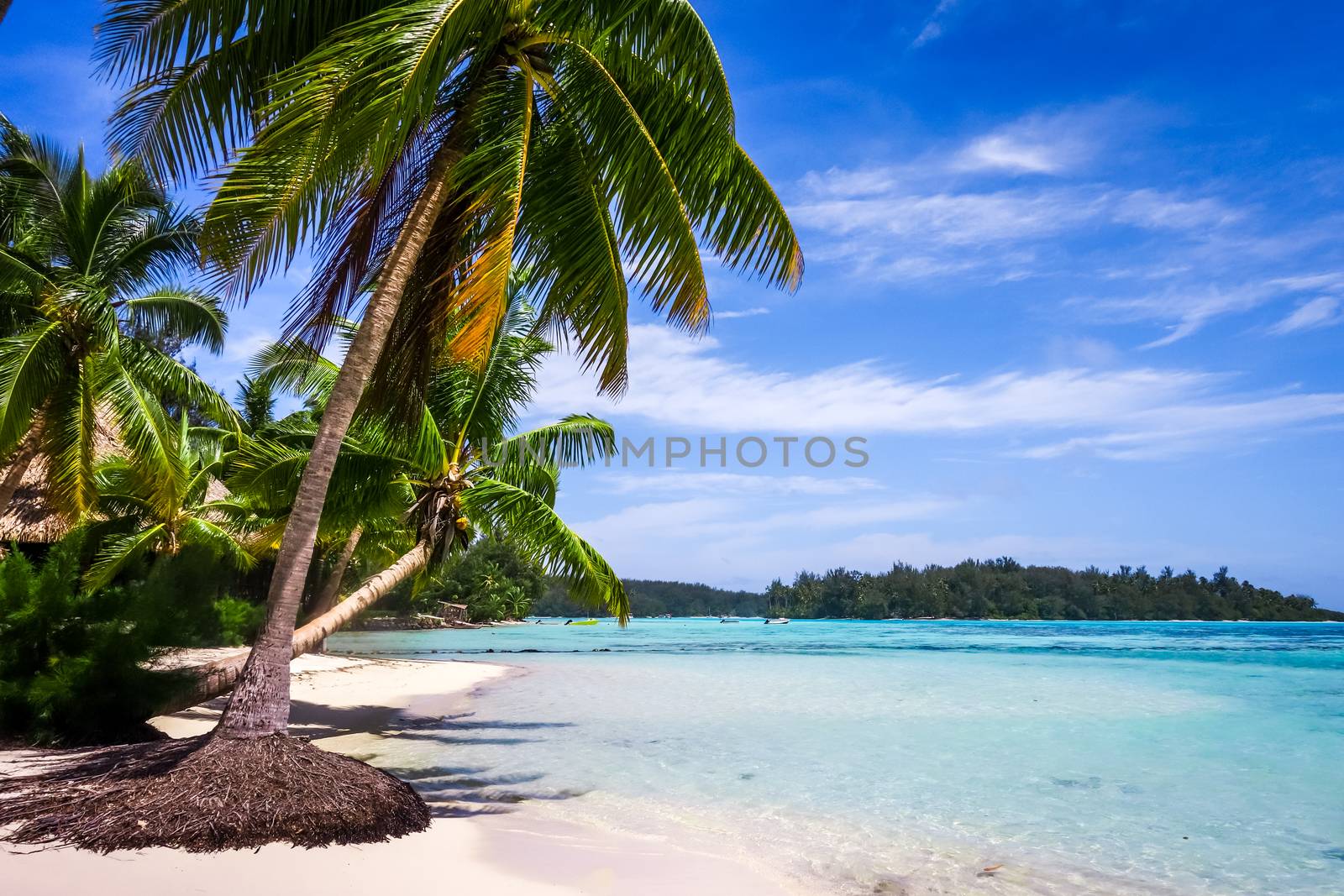 Paradise tropical beach and lagoon in Moorea Island by daboost