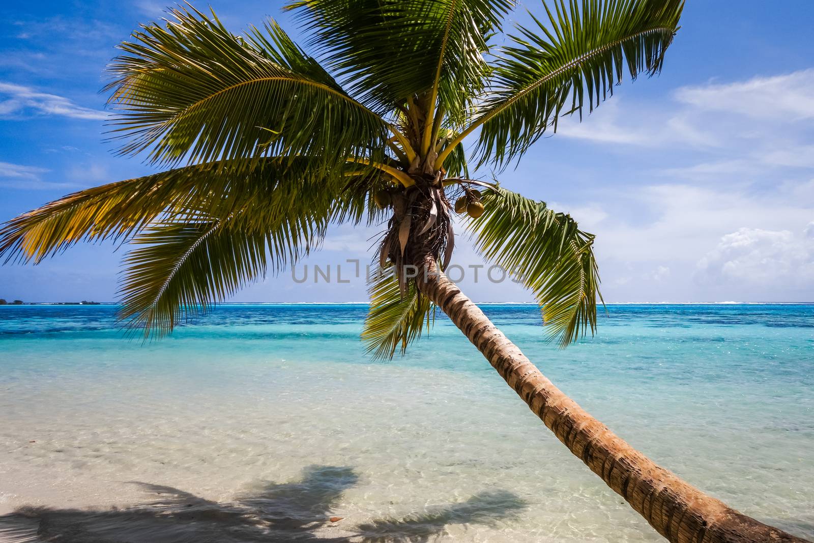 Paradise tropical beach and lagoon in Moorea Island by daboost