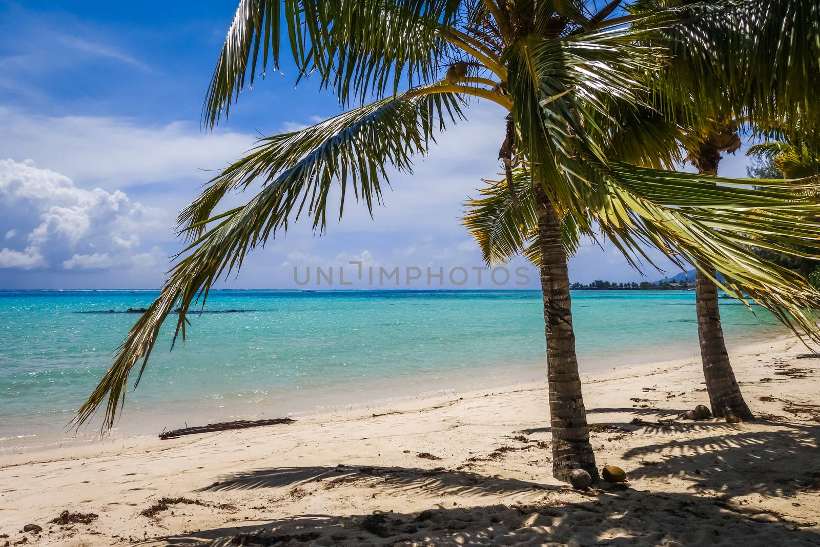 Paradise tropical beach and lagoon in Moorea Island. French Polynesia