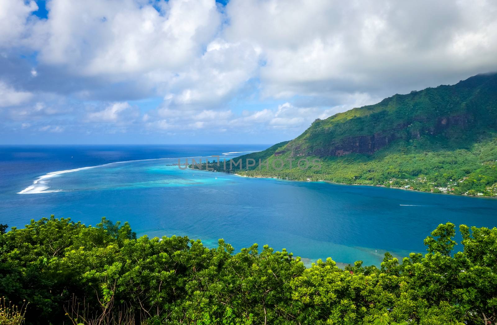 Aerial view of Opunohu Bay and lagoon in Moorea Island. French Polynesia