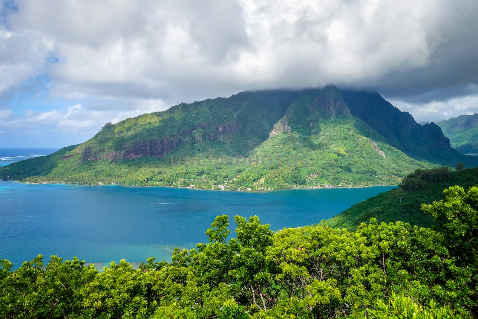 Aerial view of Opunohu Bay and lagoon in Moorea Island by daboost