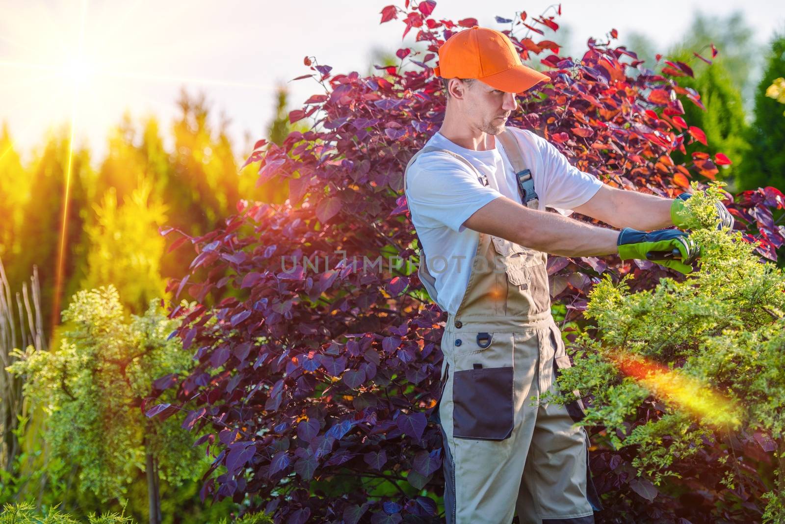 Men Taking Care of Garden by welcomia